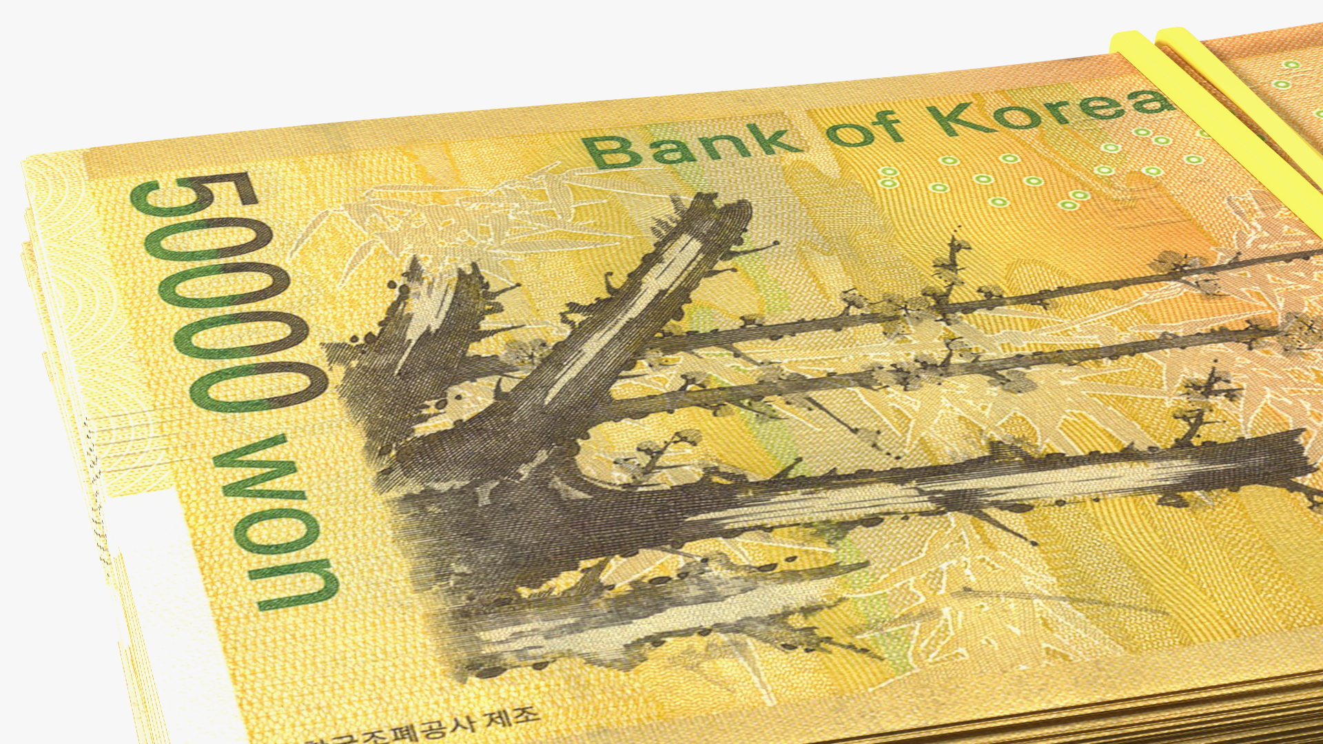 3D Stack of South Korean 50000 Won Banknotes