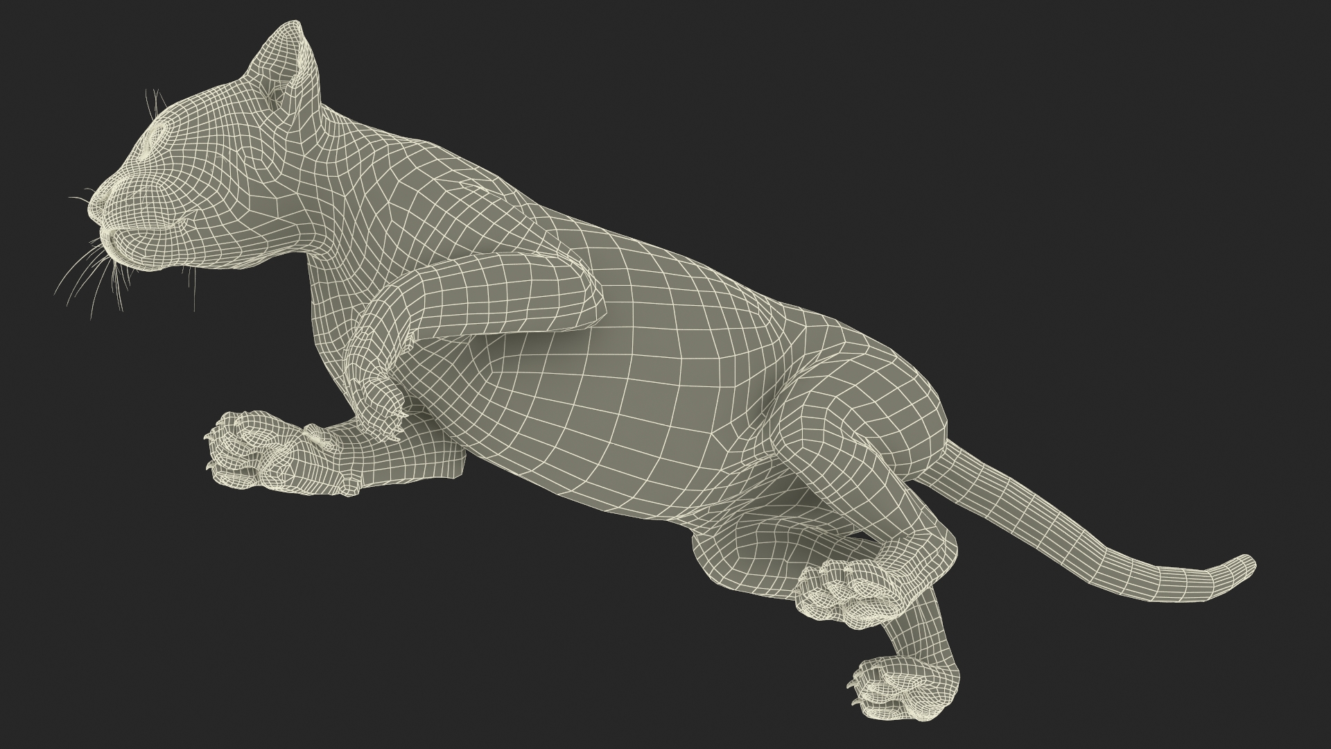 3D model Black Leopard Cub Sneaking Pose with Fur