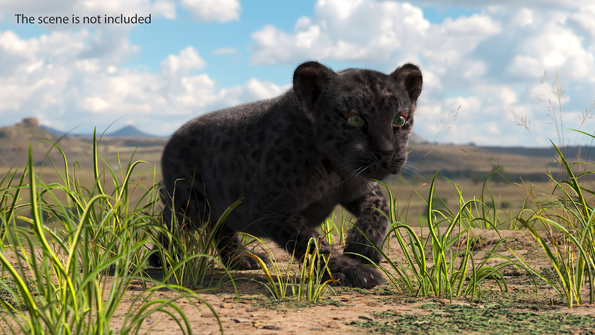 3D model Black Leopard Cub Sneaking Pose with Fur