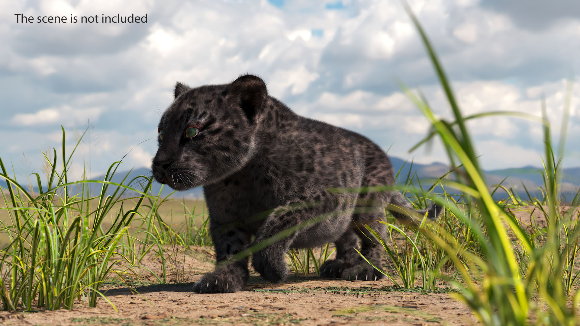 3D model Black Leopard Cub Sneaking Pose with Fur