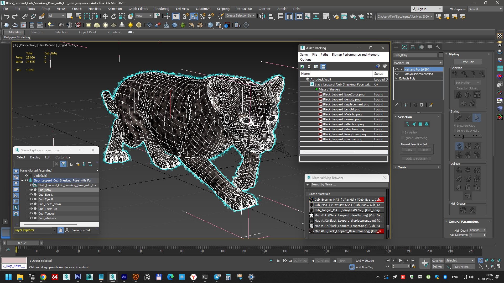 3D model Black Leopard Cub Sneaking Pose with Fur