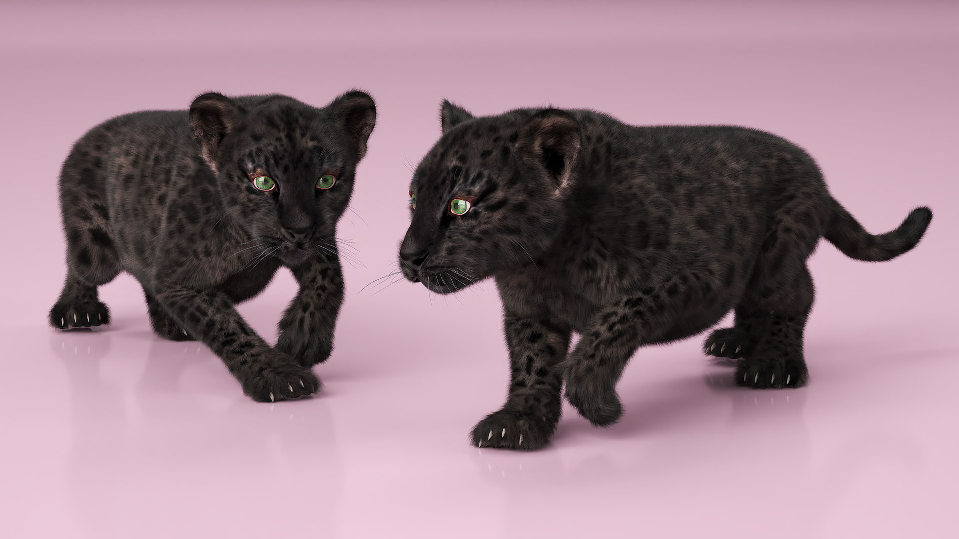 3D model Black Leopard Cub Sneaking Pose with Fur
