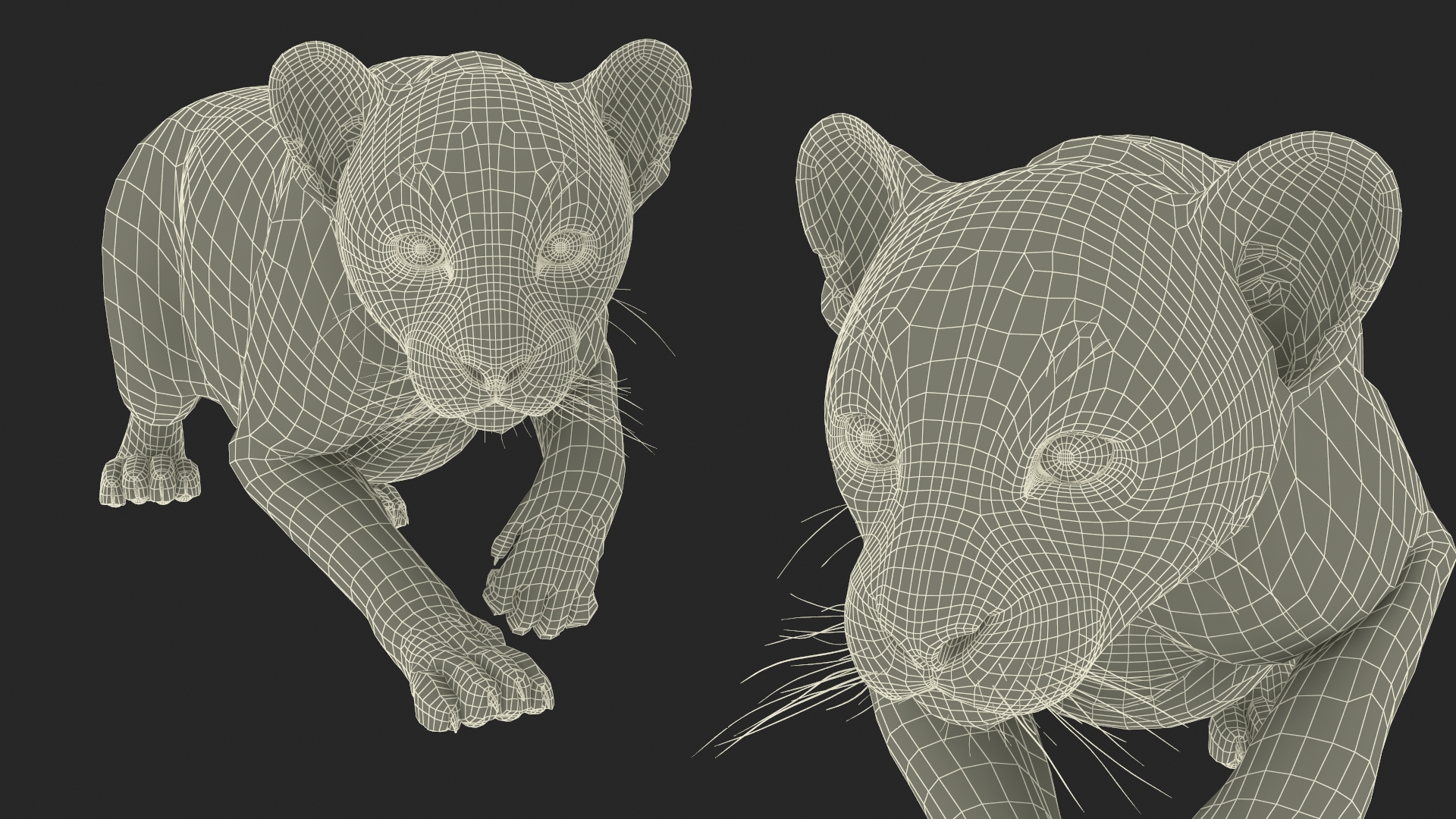 3D model Black Leopard Cub Sneaking Pose with Fur