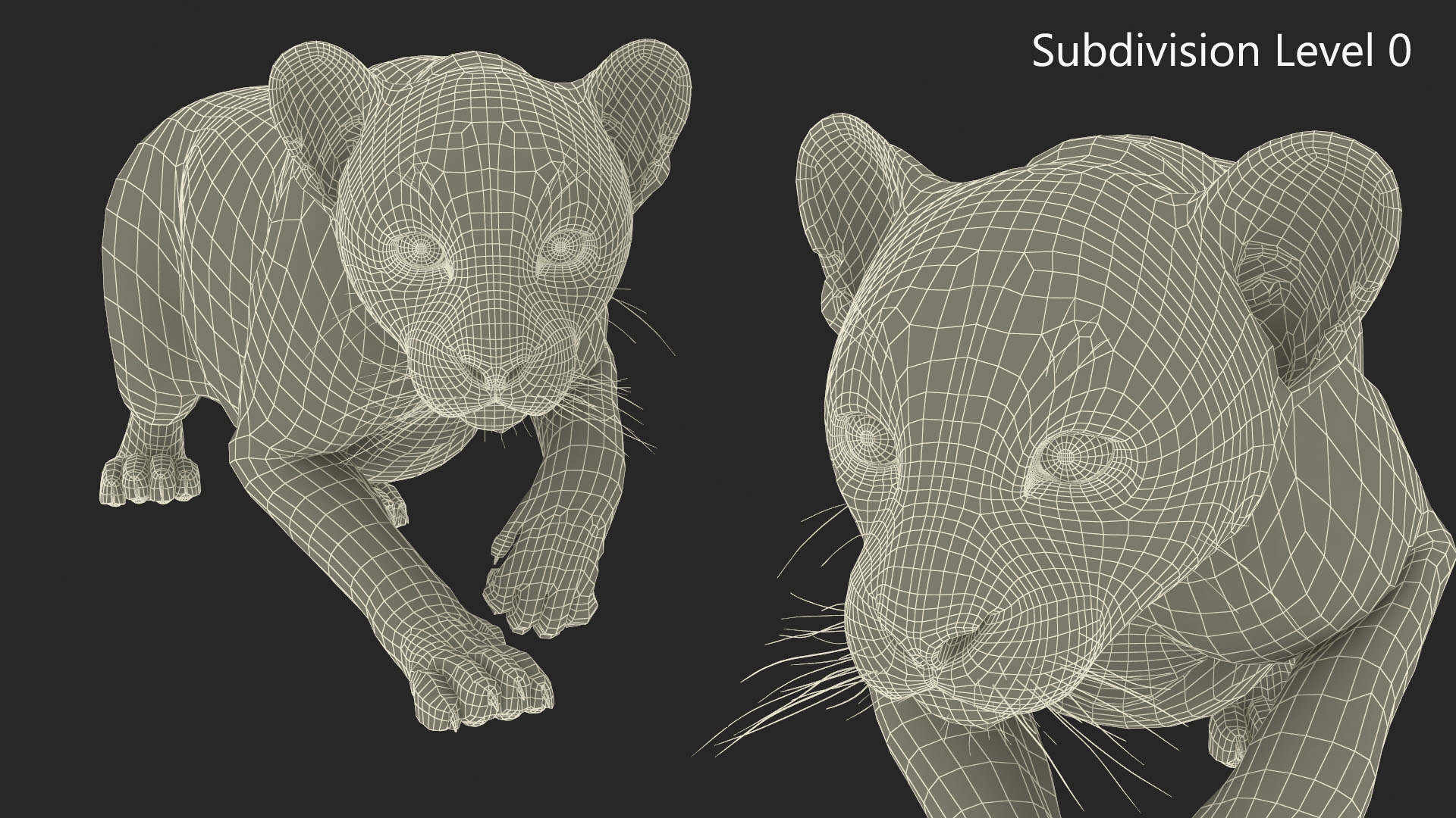 3D model Black Leopard Cub Sneaking Pose with Fur