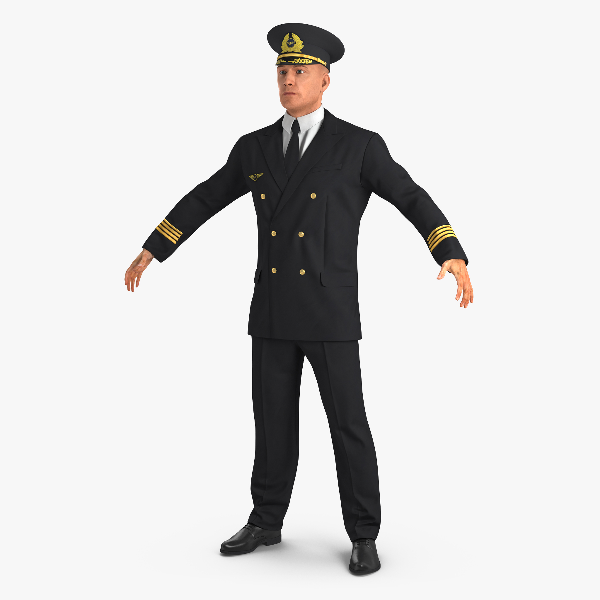 Airline Pilot, view 6