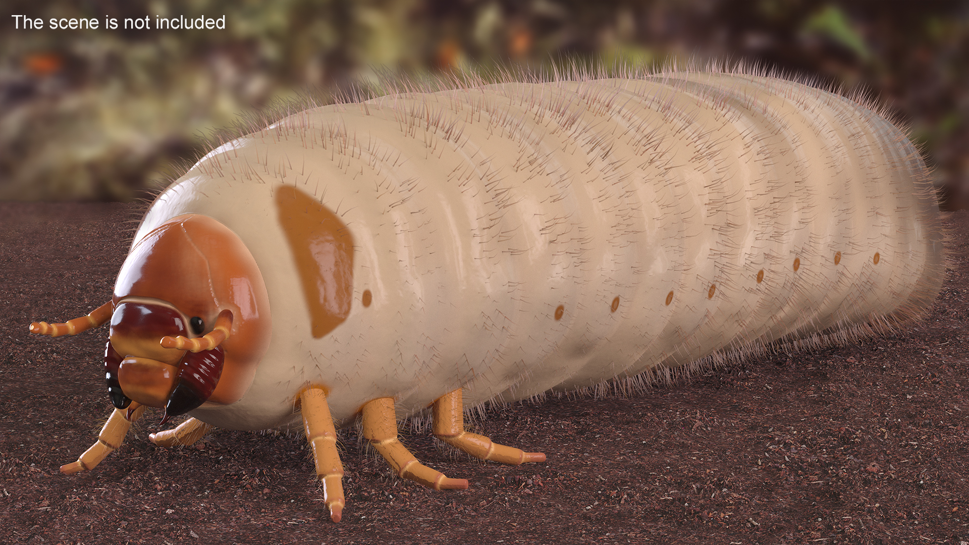 3D Maggot May Bug Fur model