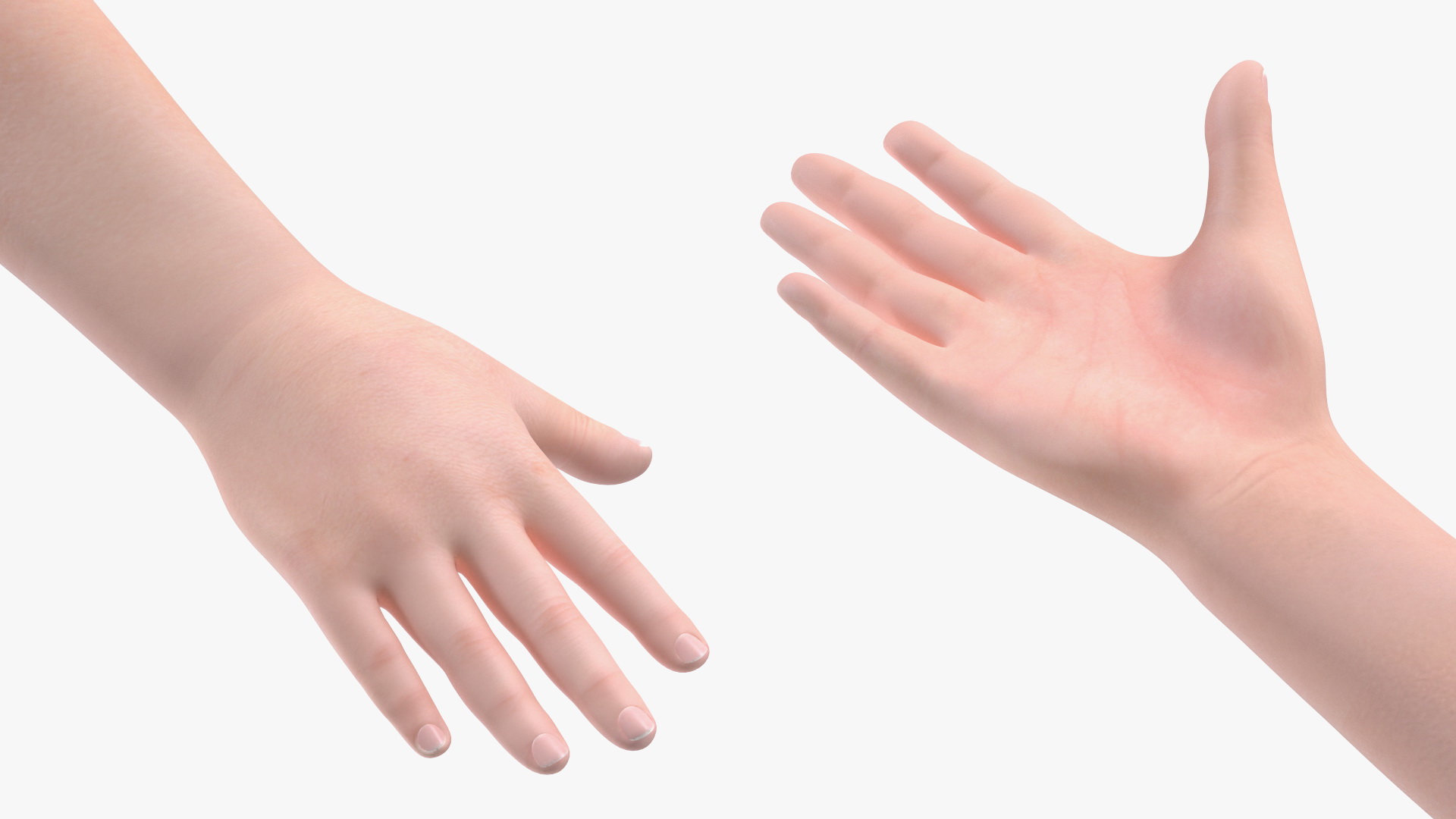 Child Girl Rigged 3D