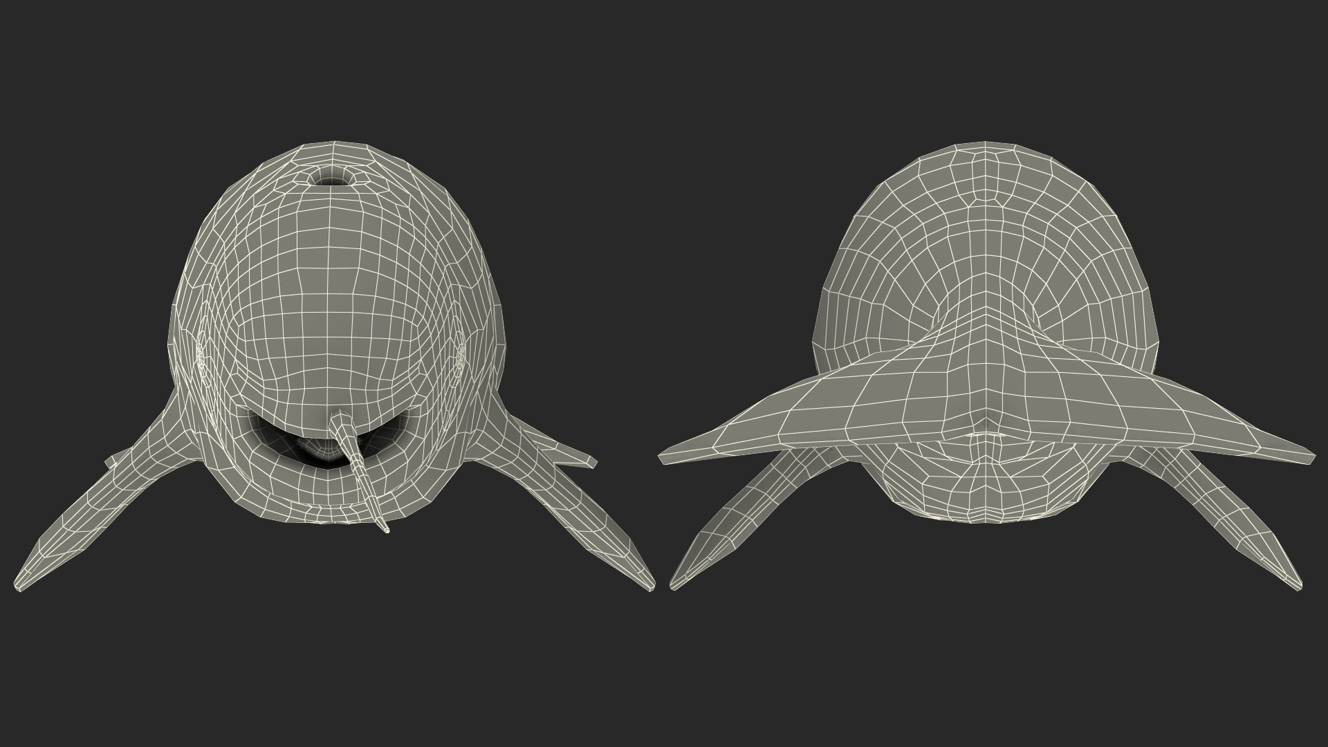 3D Narwhal Toothed Whale