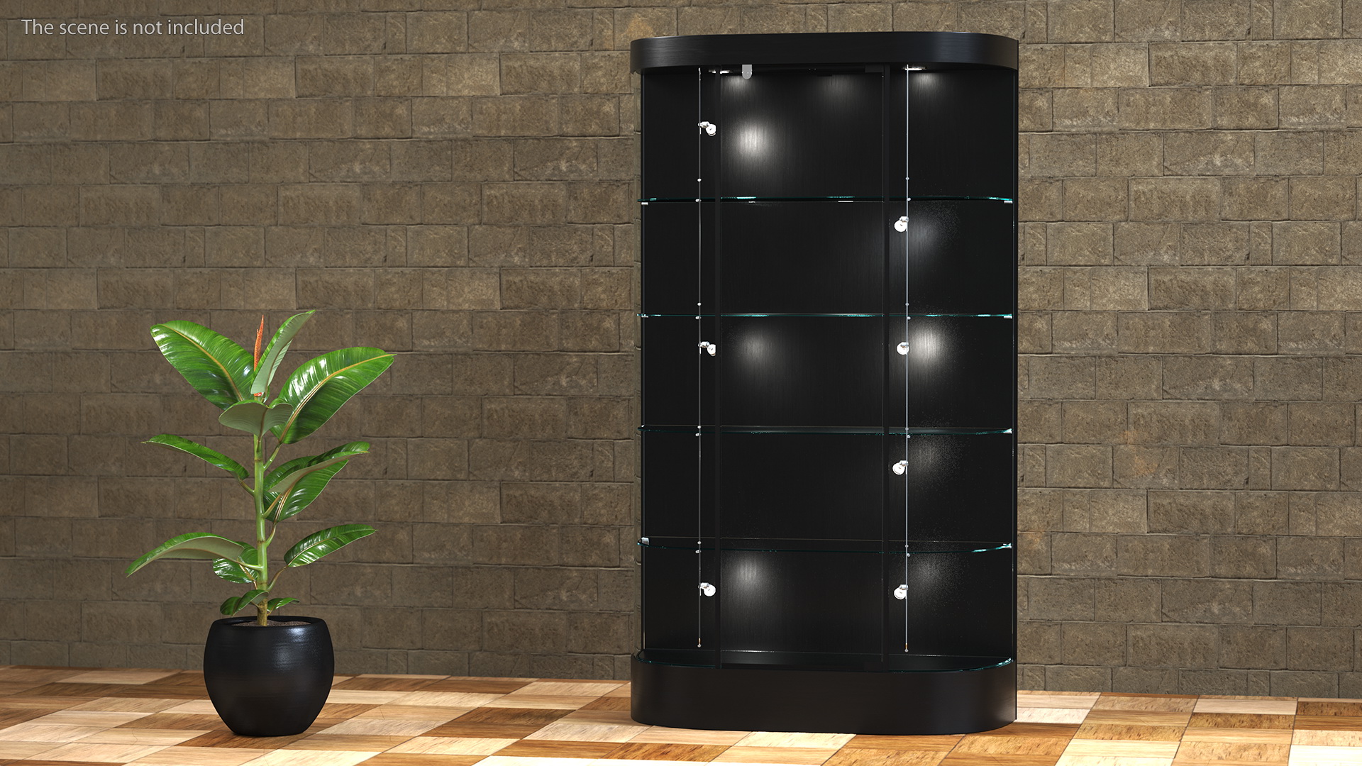 3D model Curved Wall Display Case Black