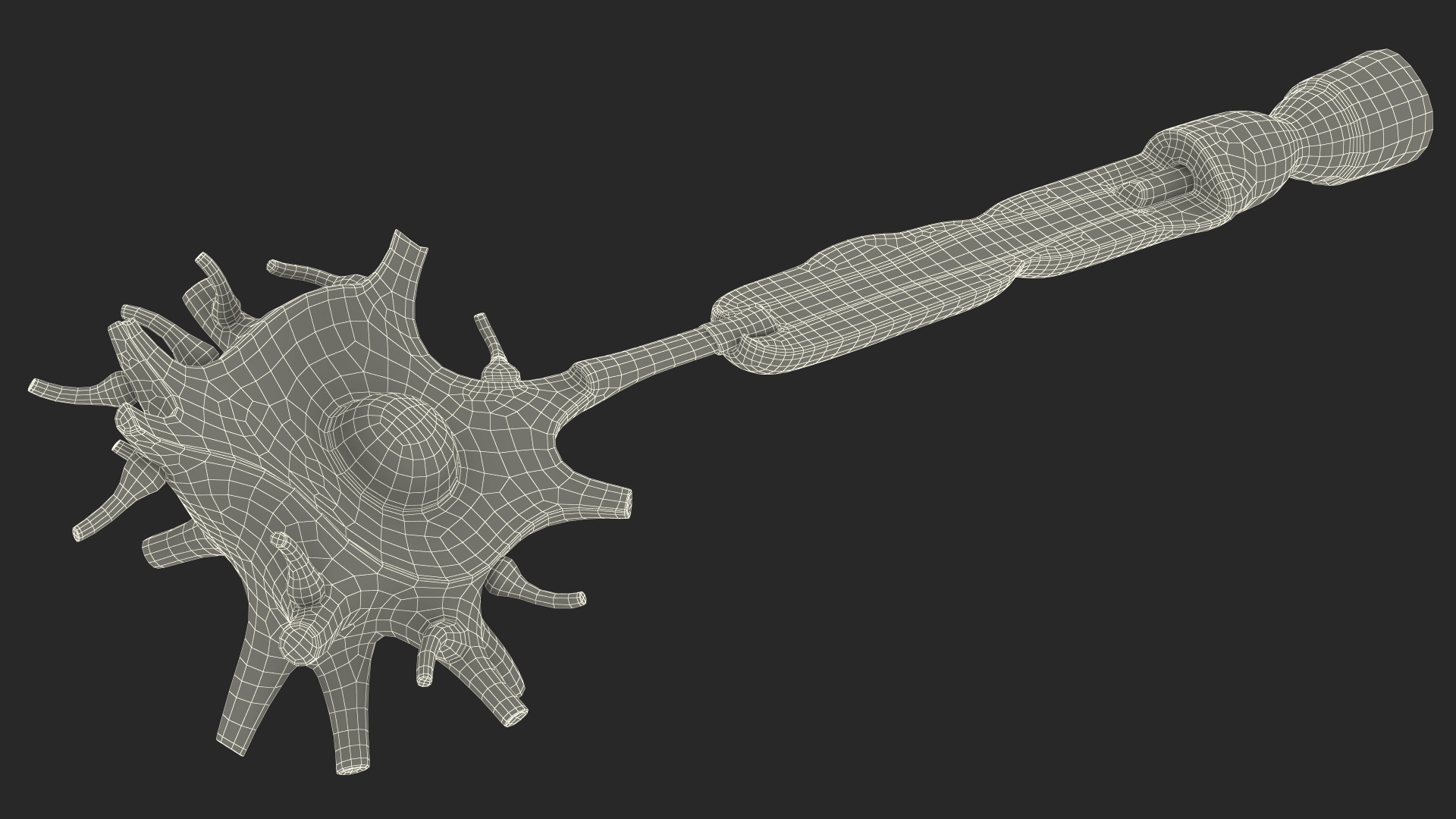 3D Human Brain Neuron Cross-Section Plastic Model