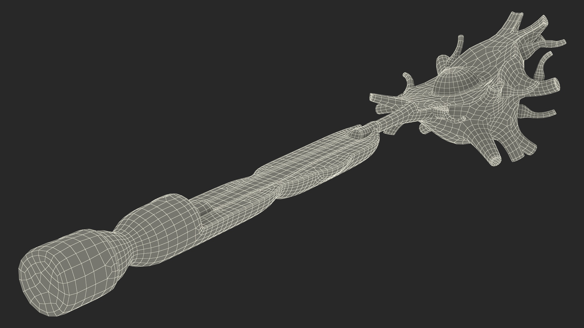 3D Human Brain Neuron Cross-Section Plastic Model