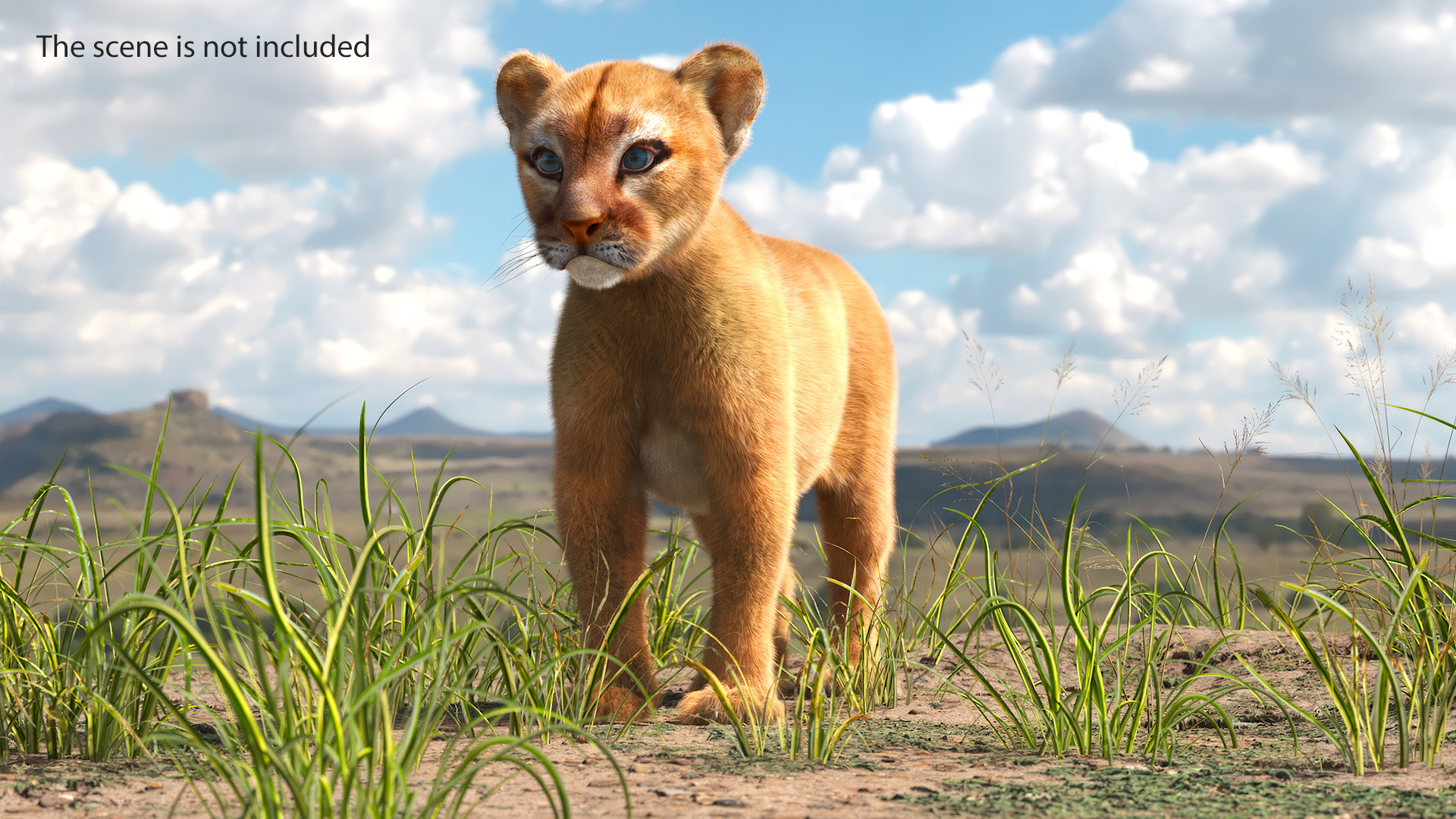 3D Puma Cub Standing Pose with Fur