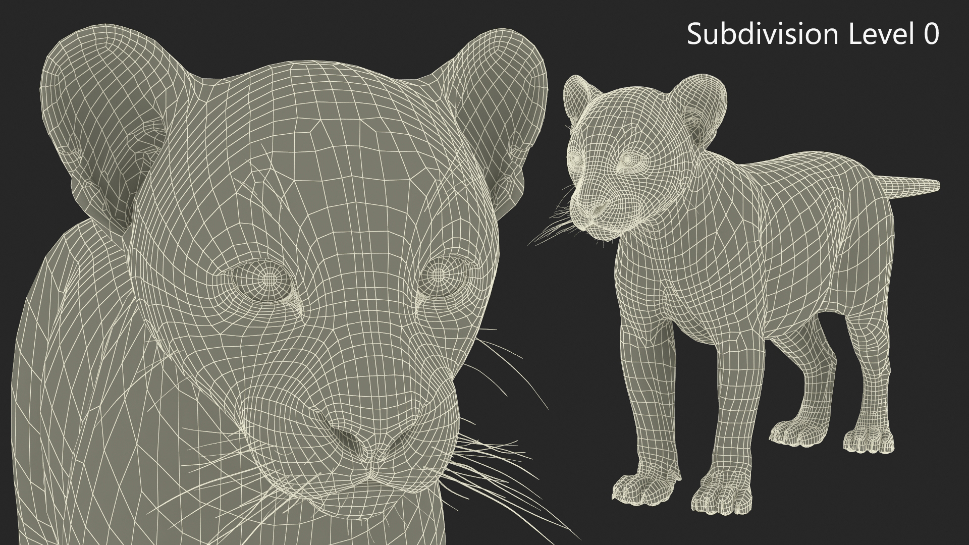3D Puma Cub Standing Pose with Fur