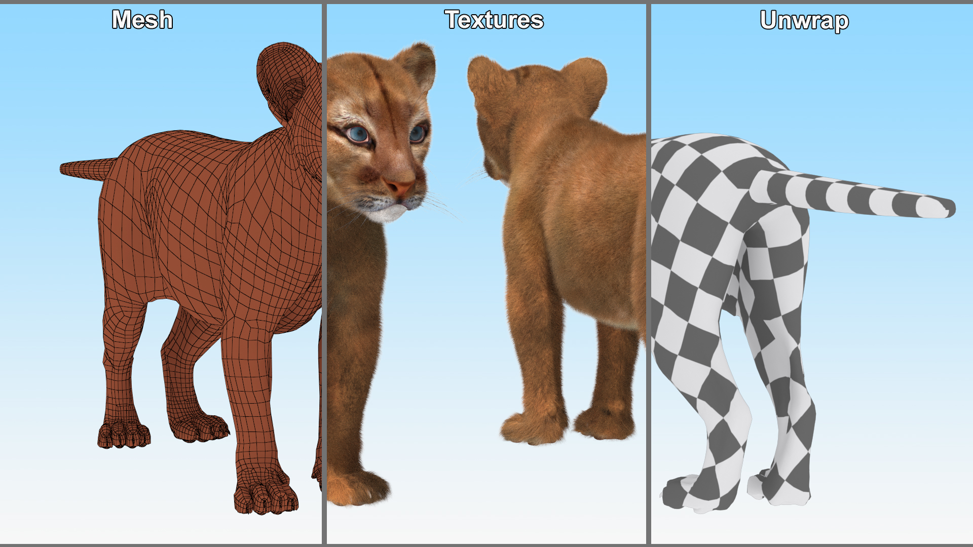 3D Puma Cub Standing Pose with Fur
