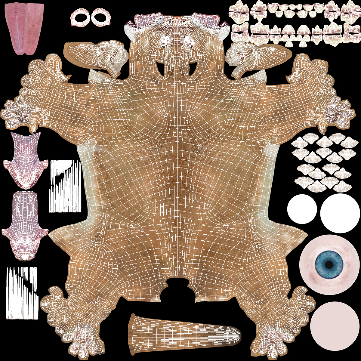 3D Puma Cub Standing Pose with Fur