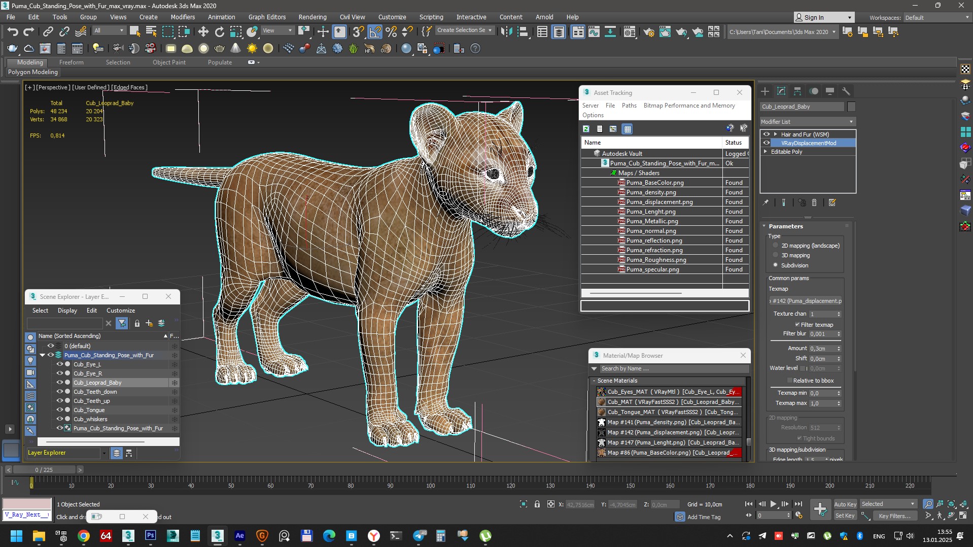 3D Puma Cub Standing Pose with Fur