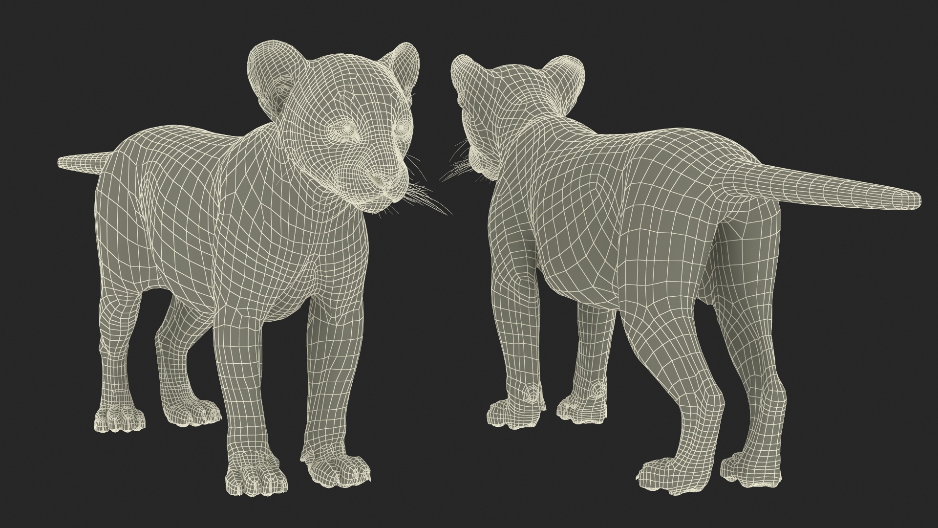 3D Puma Cub Standing Pose with Fur