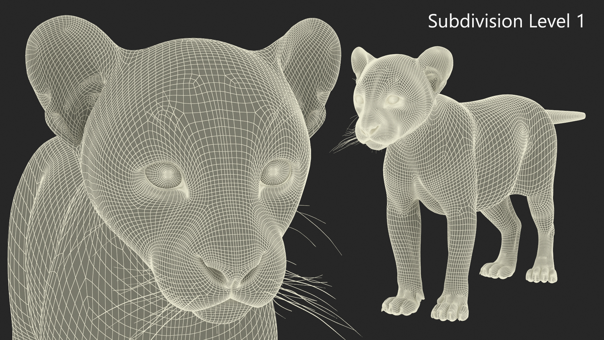 3D Puma Cub Standing Pose with Fur