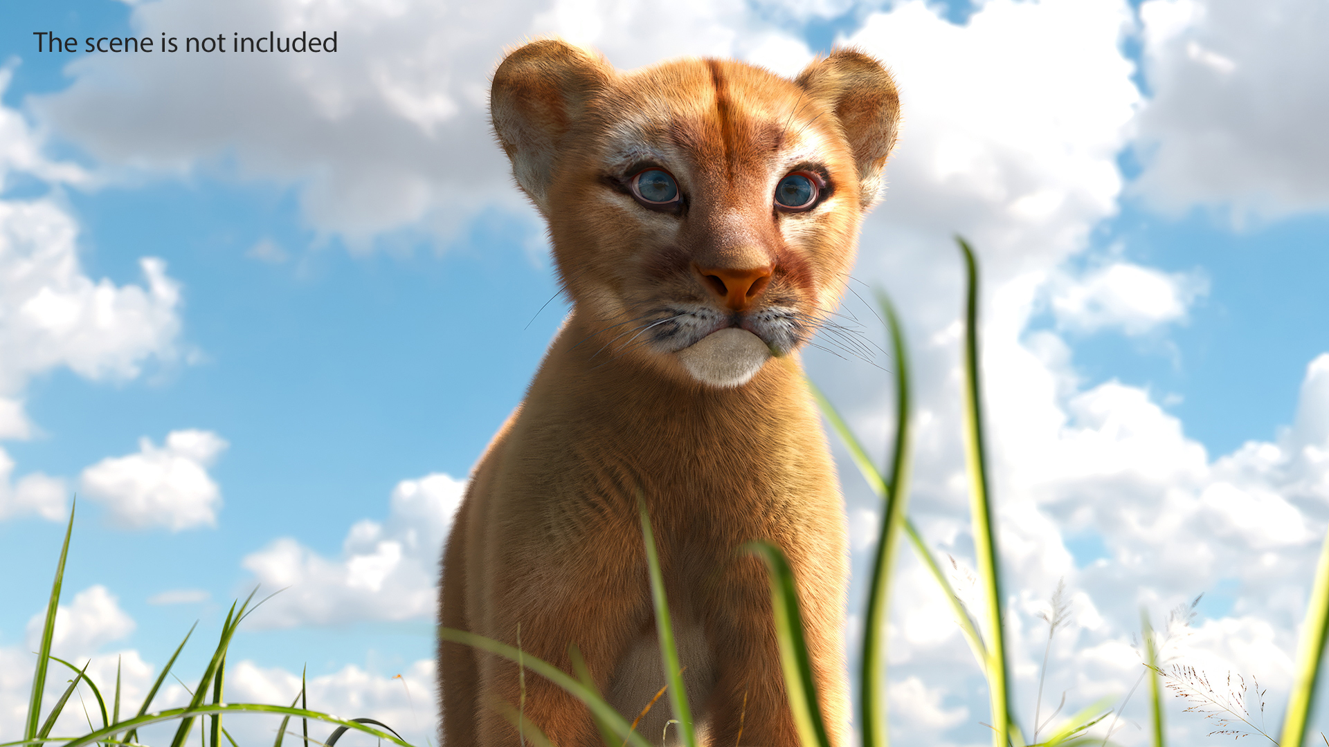 3D Puma Cub Standing Pose with Fur