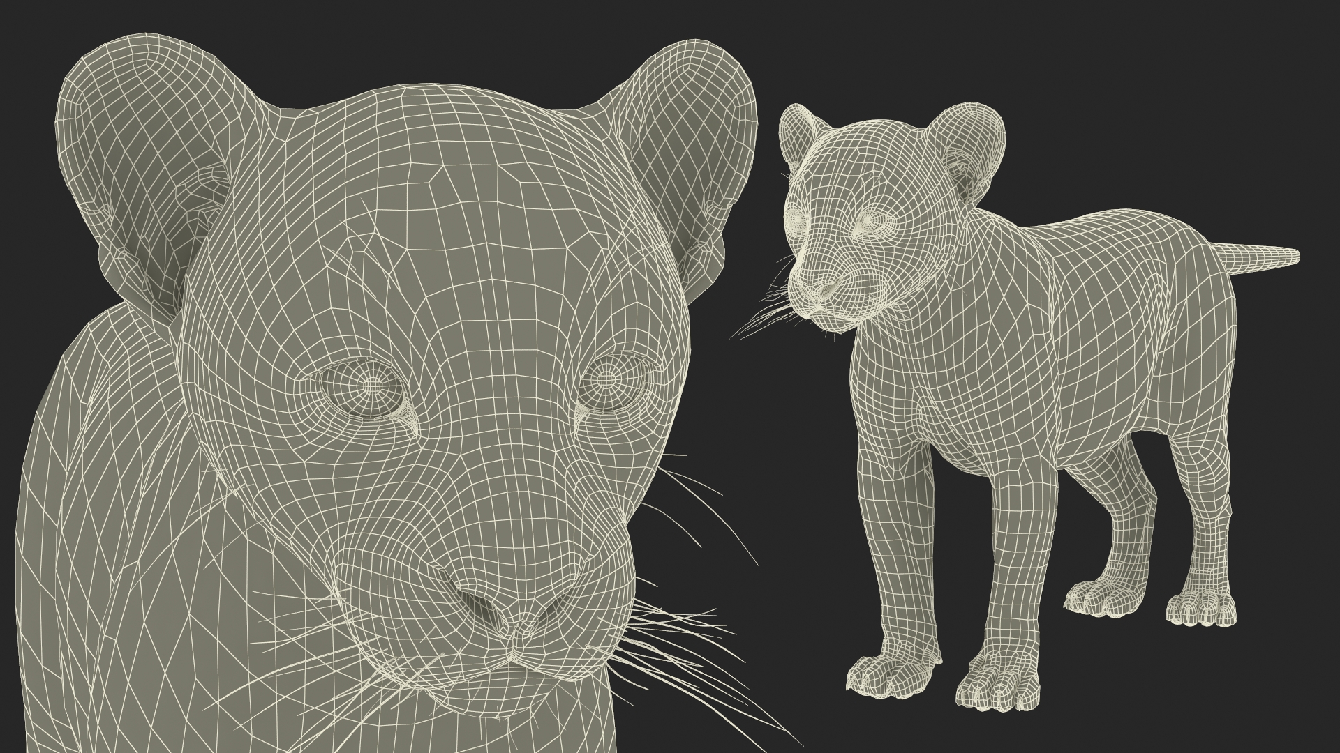 3D Puma Cub Standing Pose with Fur