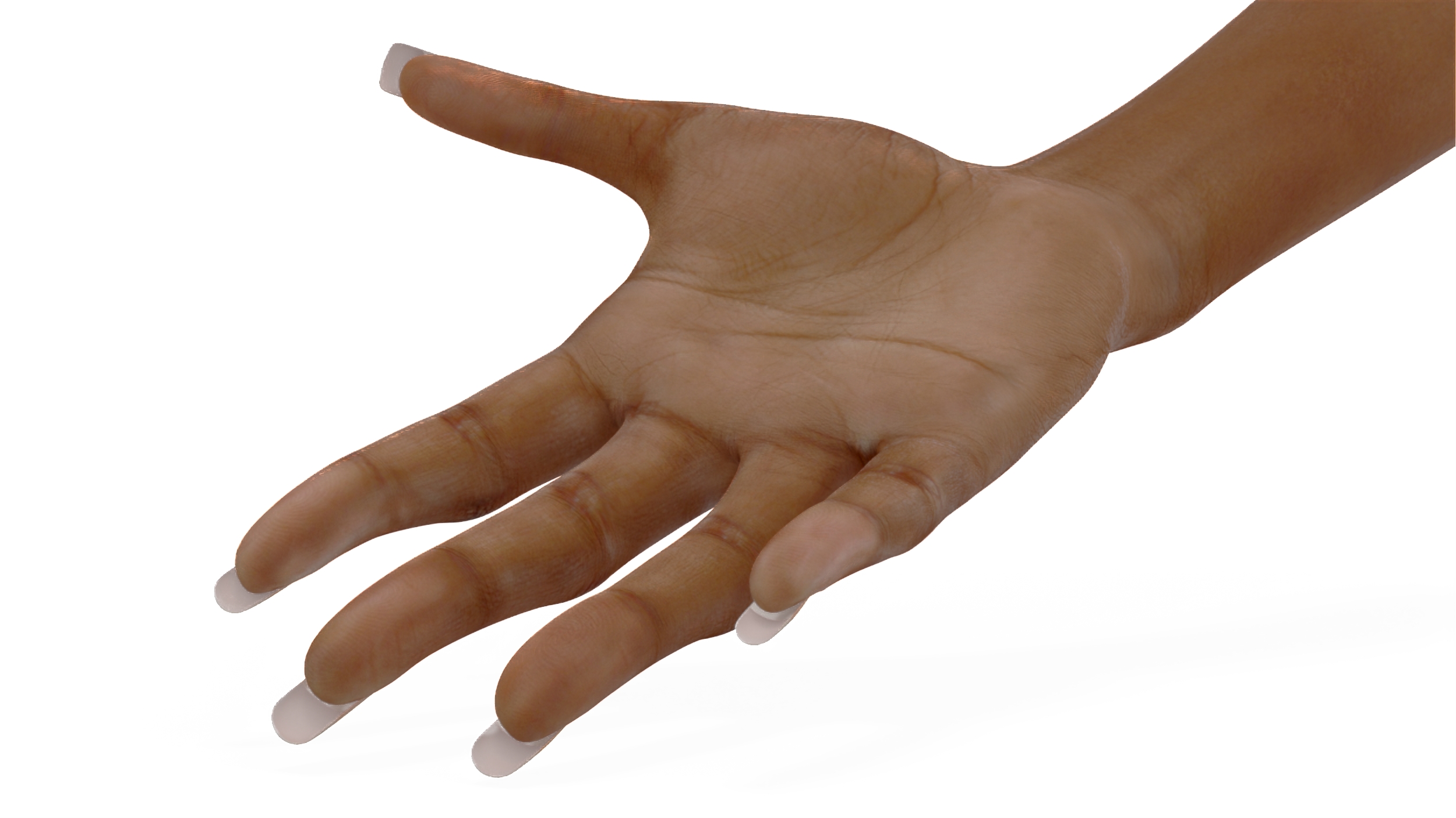 3D model Brown Skinned Female Hand Base Pose