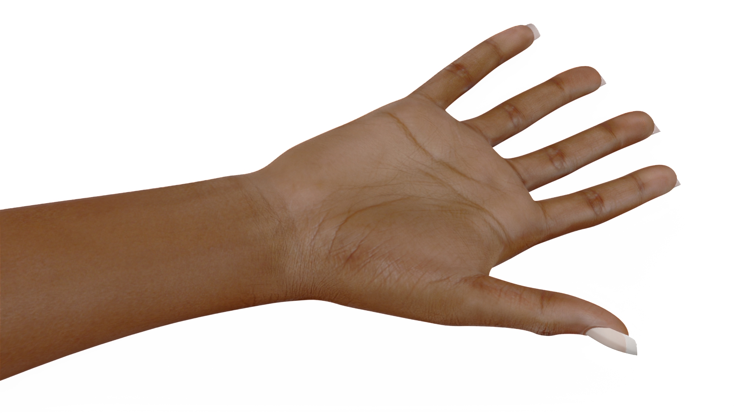 3D model Brown Skinned Female Hand Base Pose