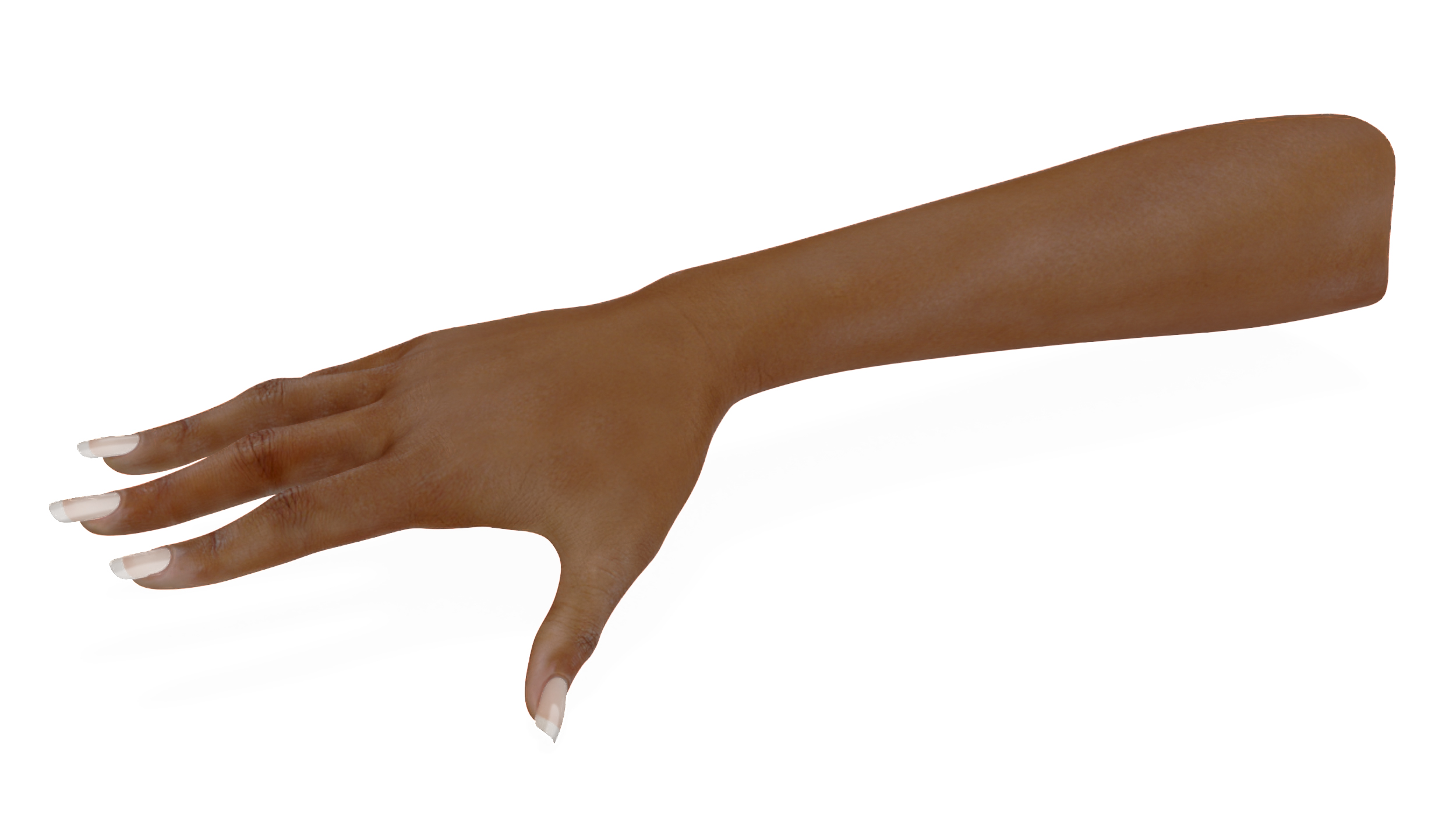 3D model Brown Skinned Female Hand Base Pose