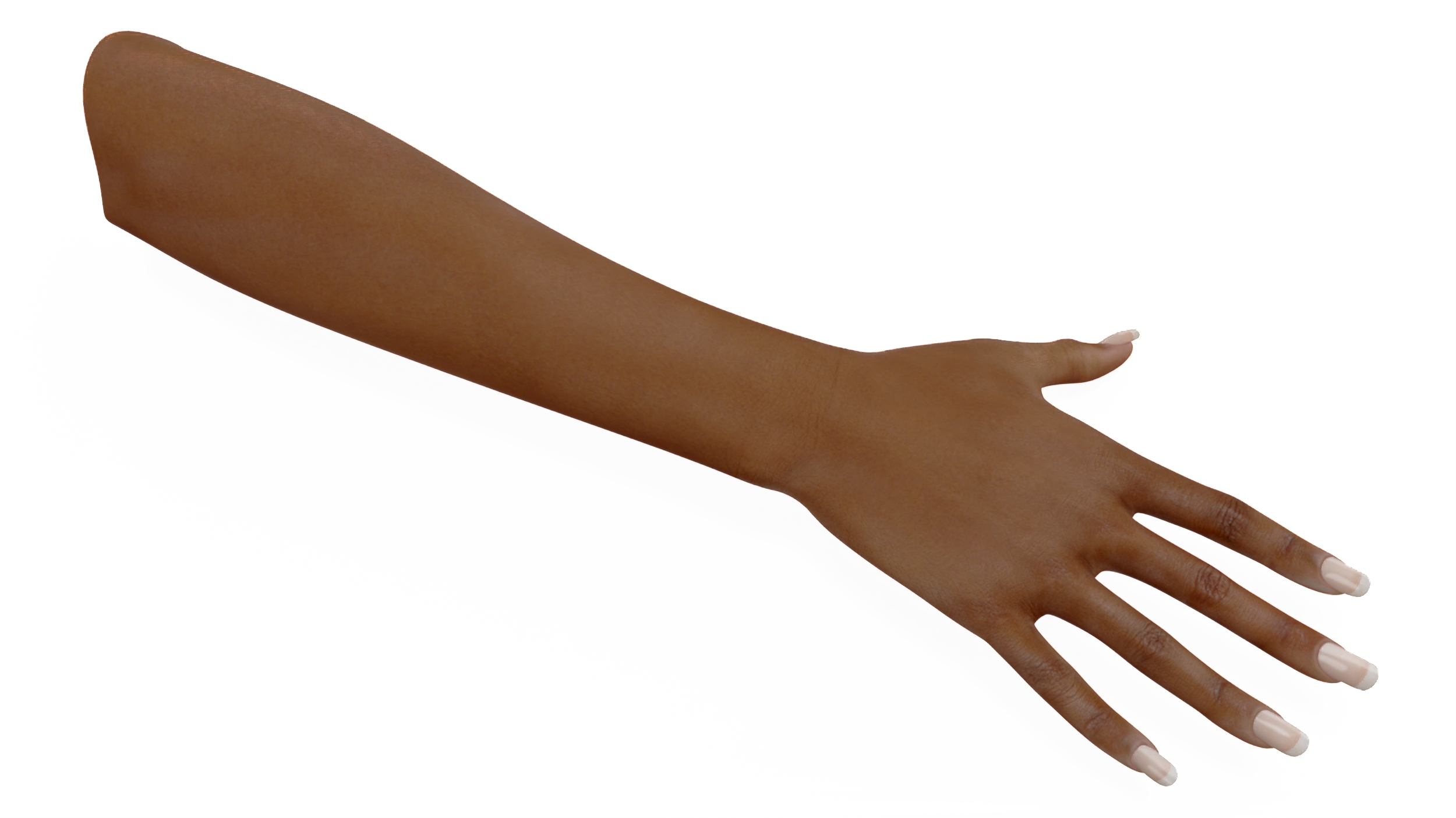 3D model Brown Skinned Female Hand Base Pose