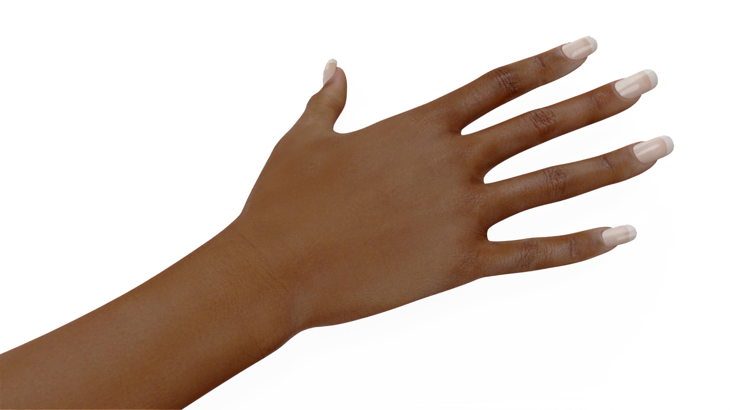 3D model Brown Skinned Female Hand Base Pose