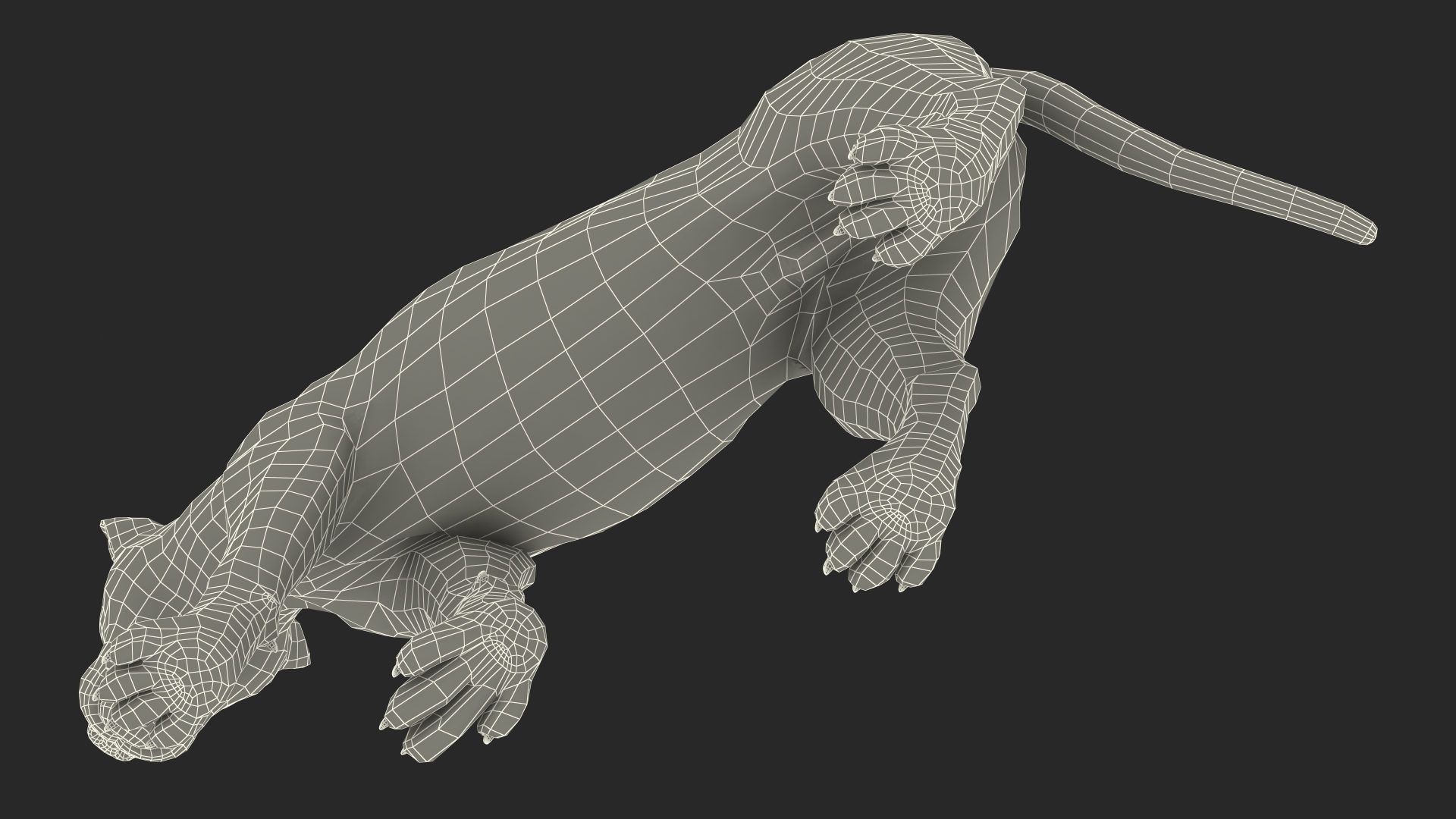 White Male Lion Walking Pose Fur 3D