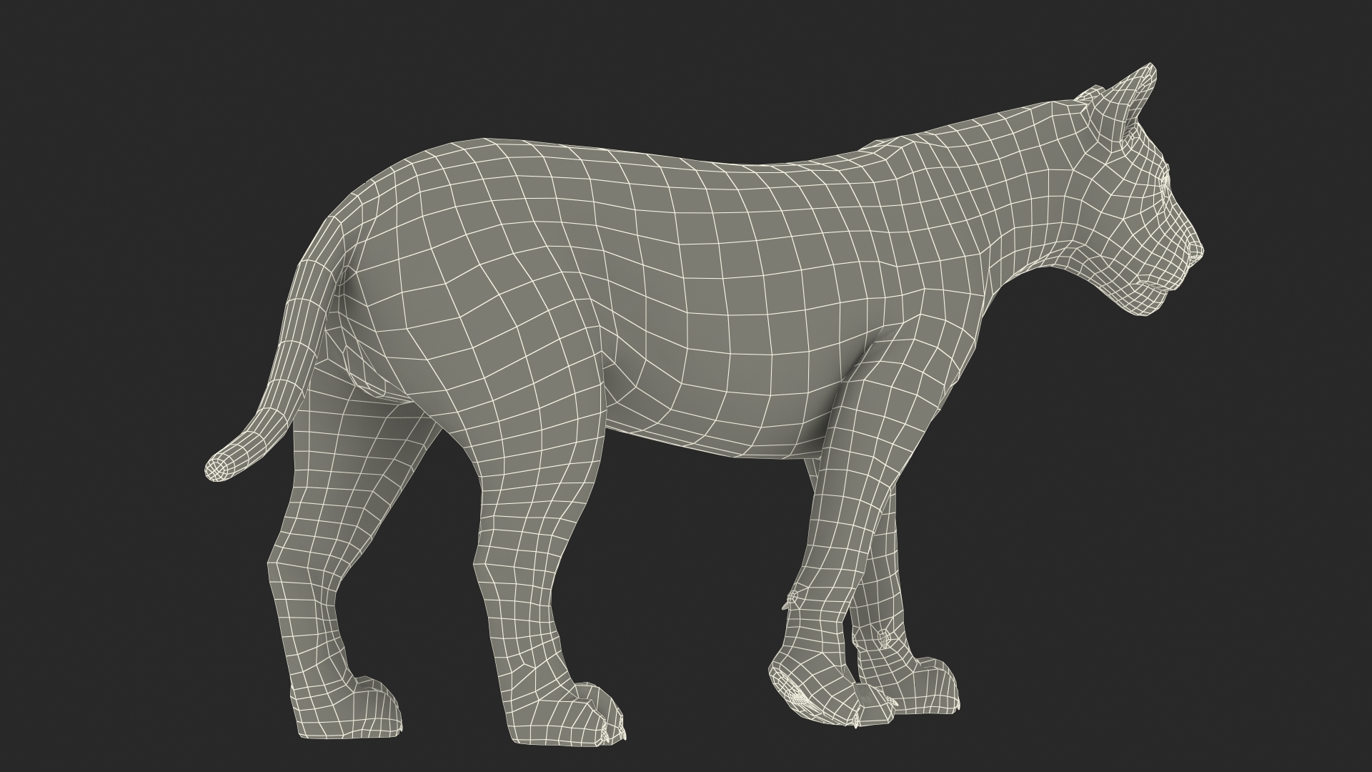 White Male Lion Walking Pose Fur 3D