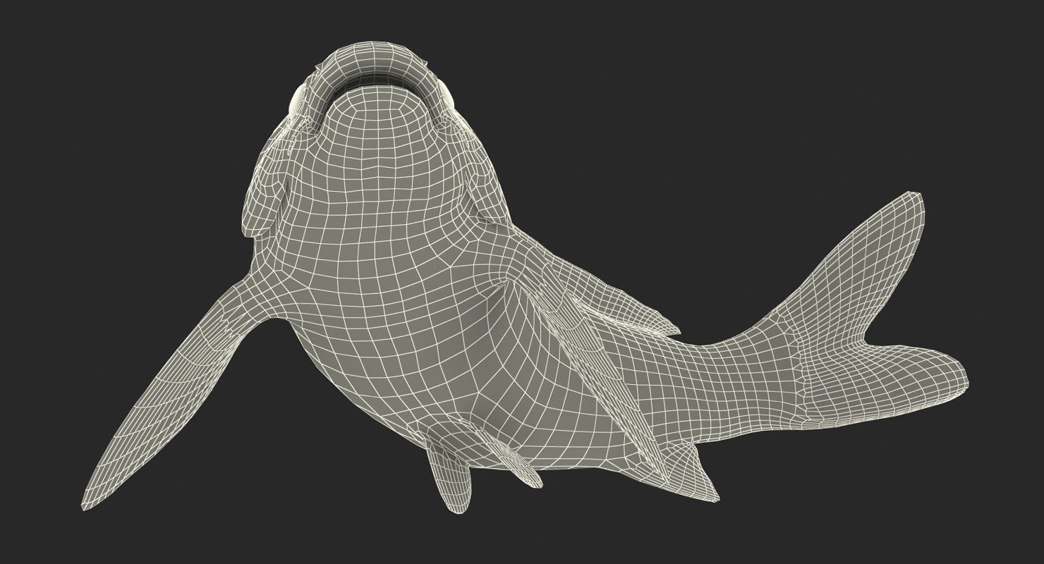 3D Koi Fish Swiming Pose