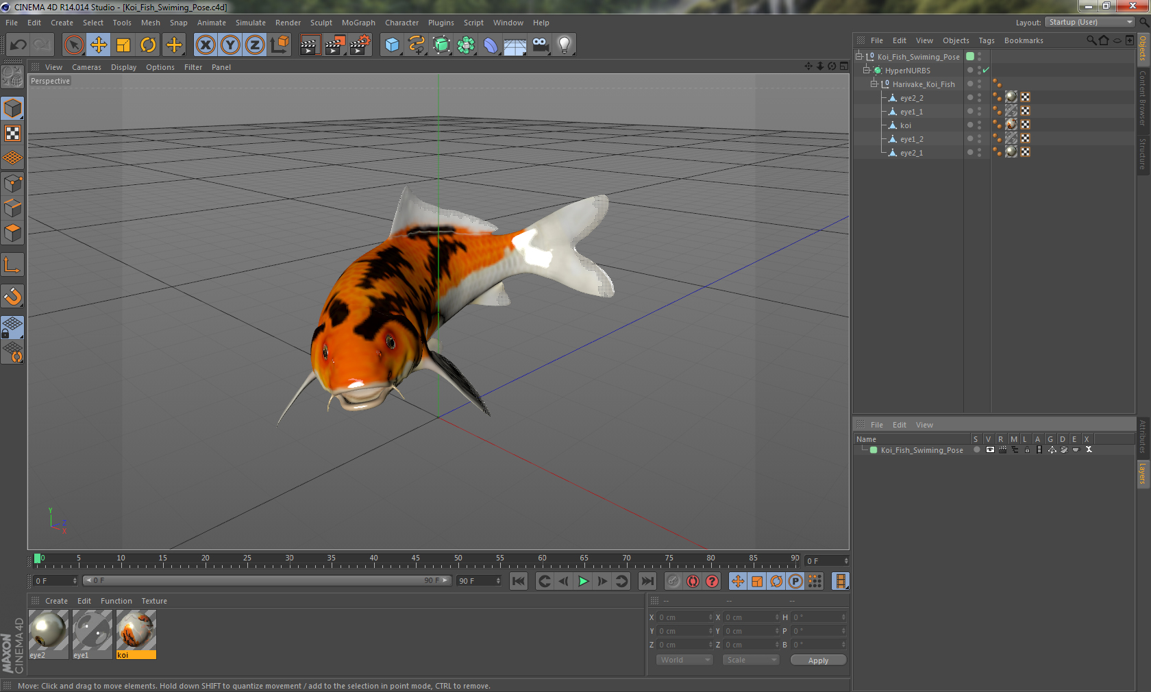 3D Koi Fish Swiming Pose