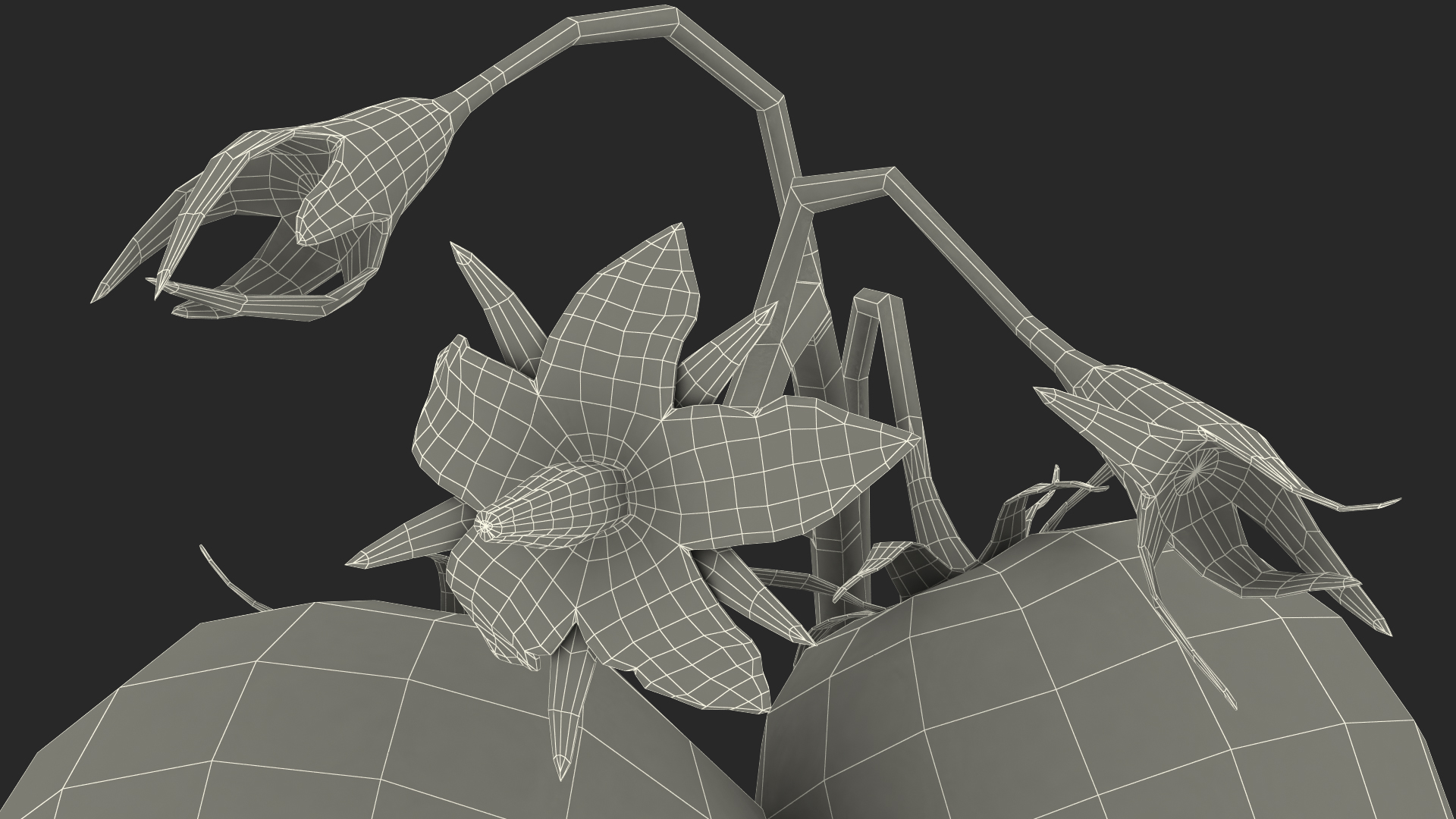 3D Tomato Branch with Red Tomatoes