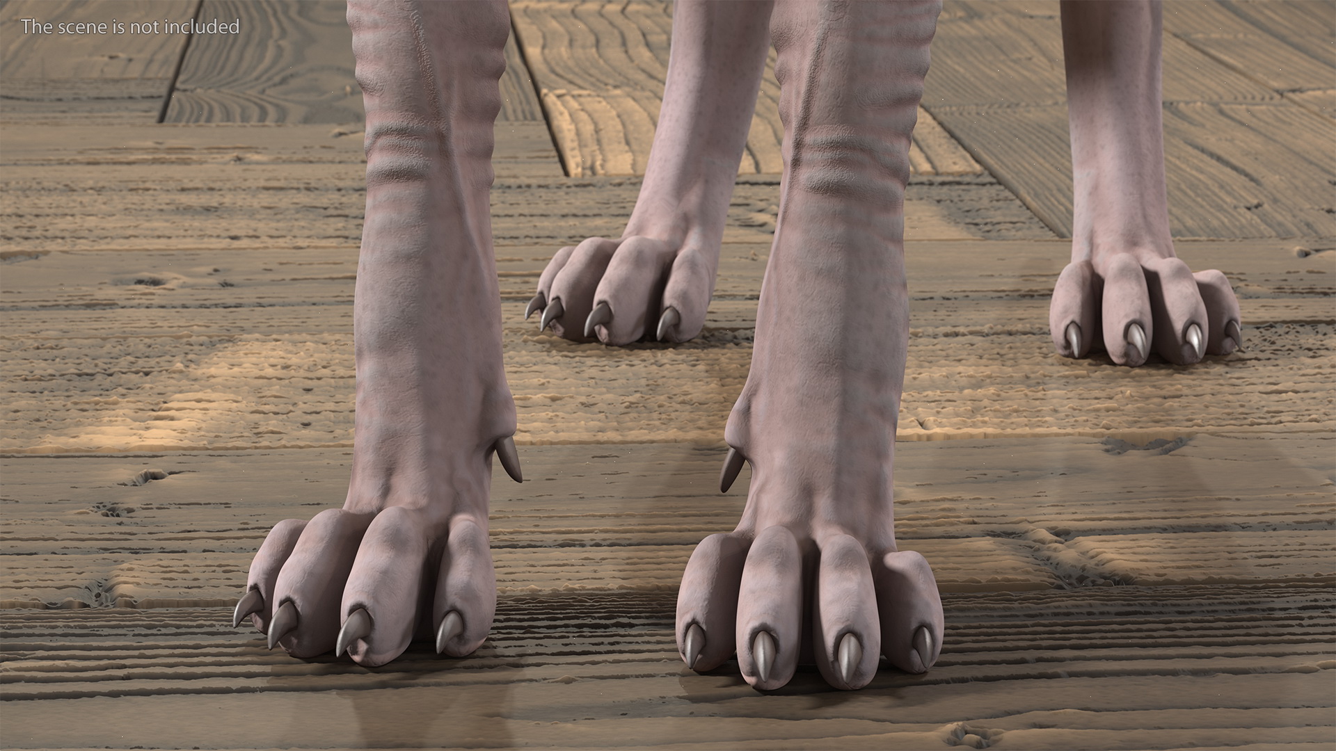 3D Dark Cream Sphynx Cat