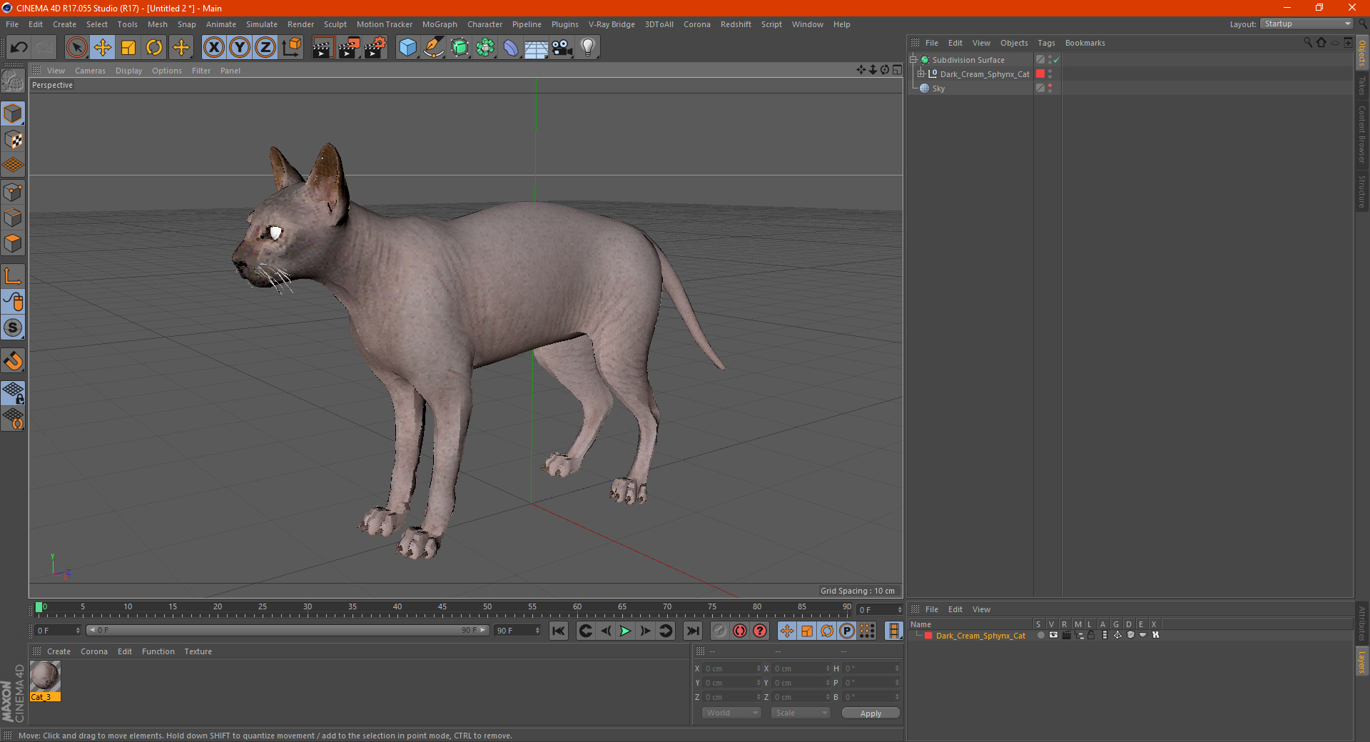 3D Dark Cream Sphynx Cat