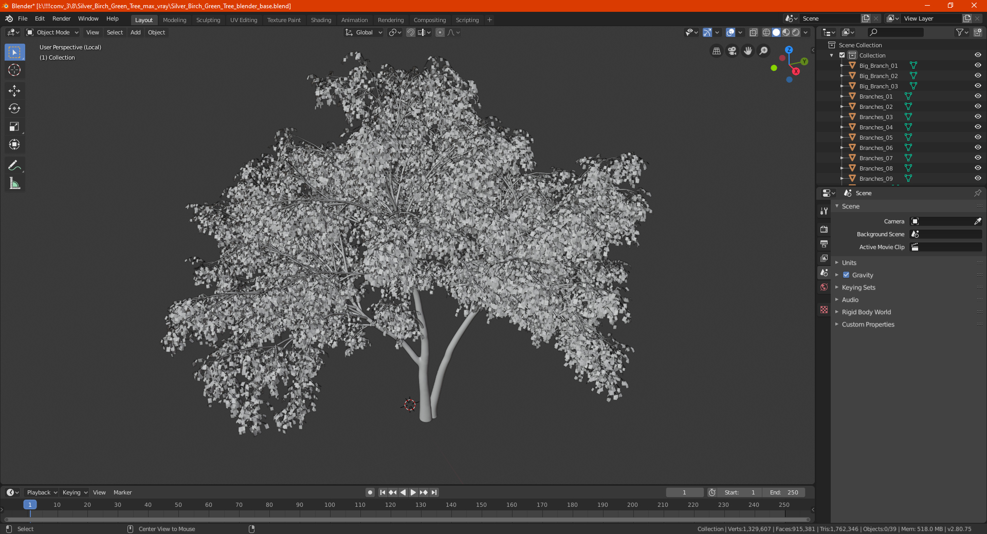 3D Silver Birch Green Tree model