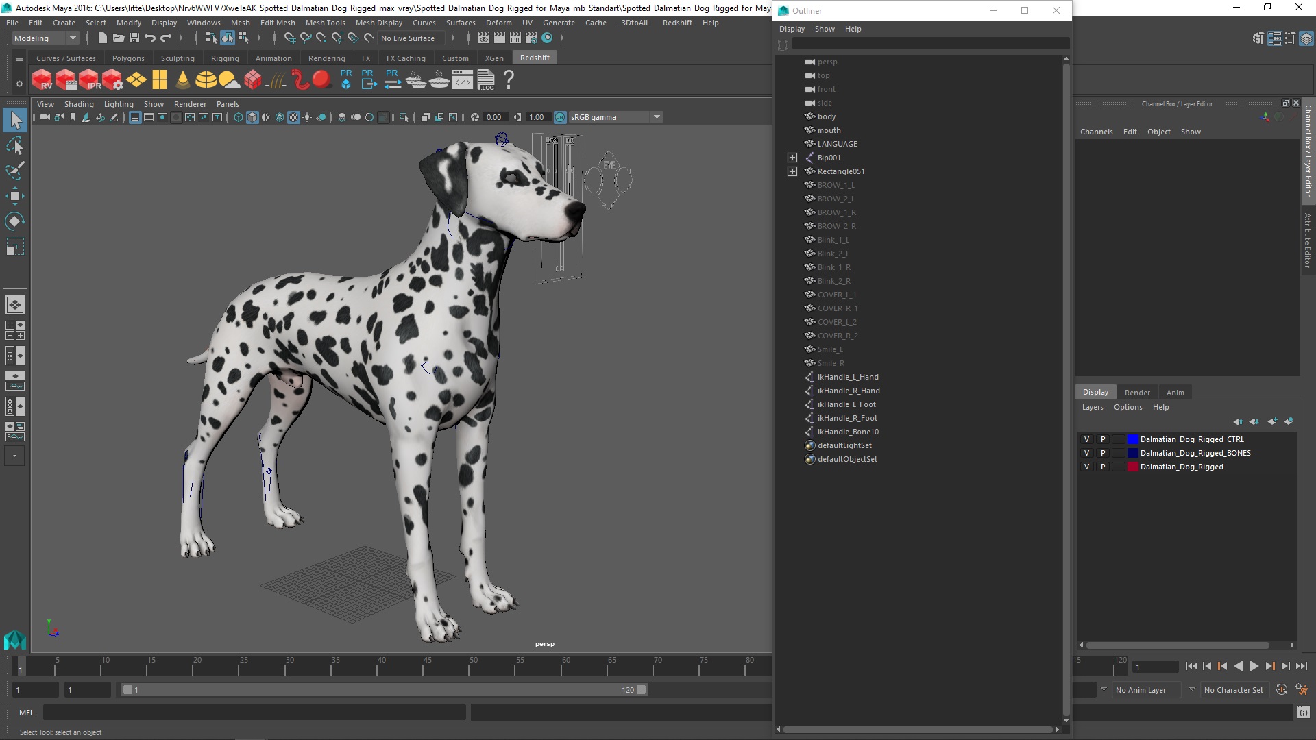 Spotted Dalmatian Dog Rigged for Maya 3D