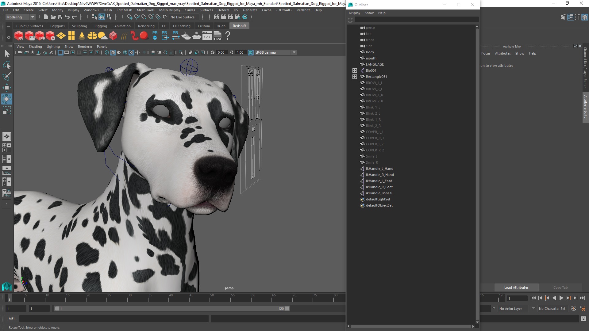 Spotted Dalmatian Dog Rigged for Maya 3D