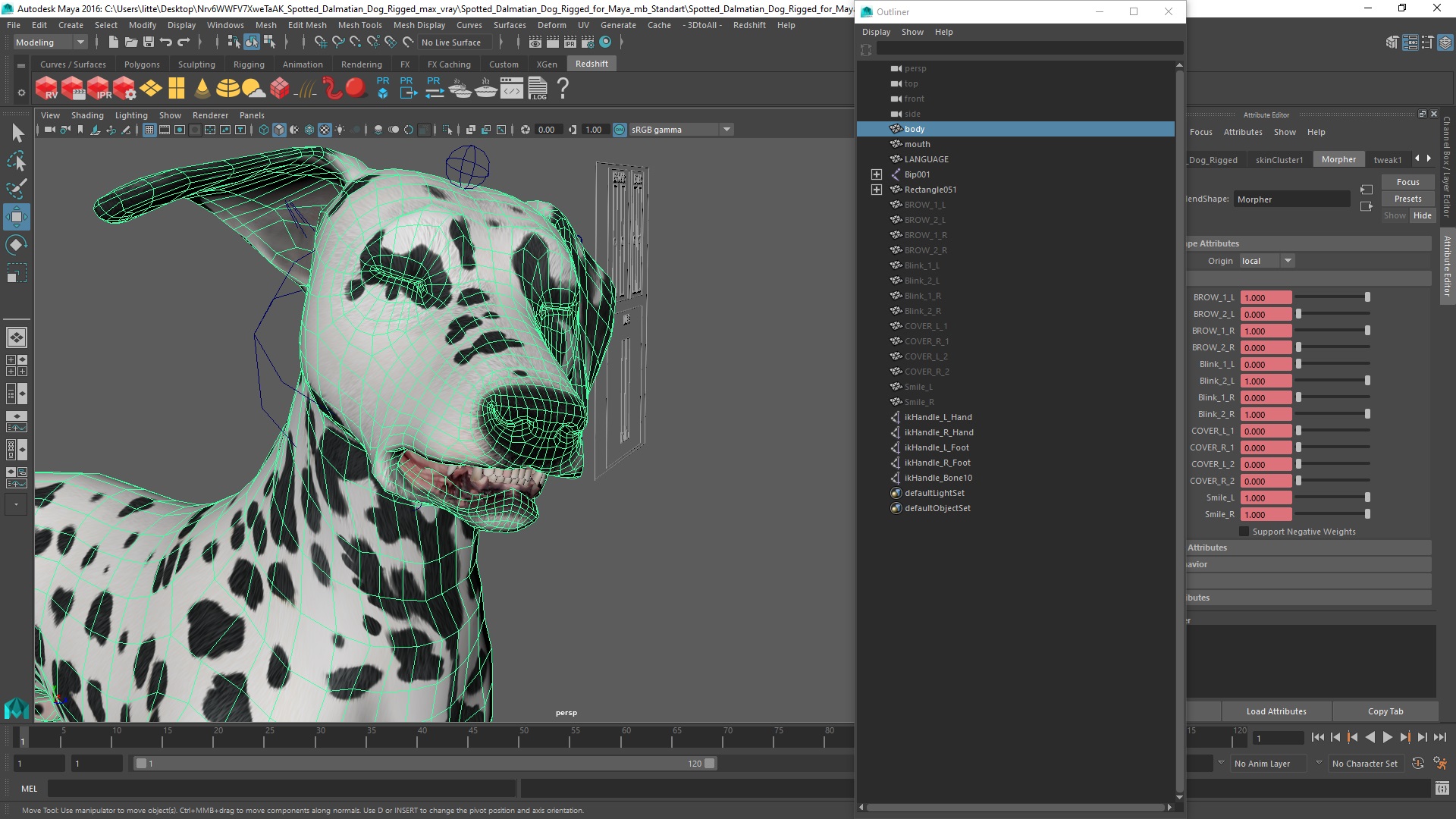 Spotted Dalmatian Dog Rigged for Maya 3D