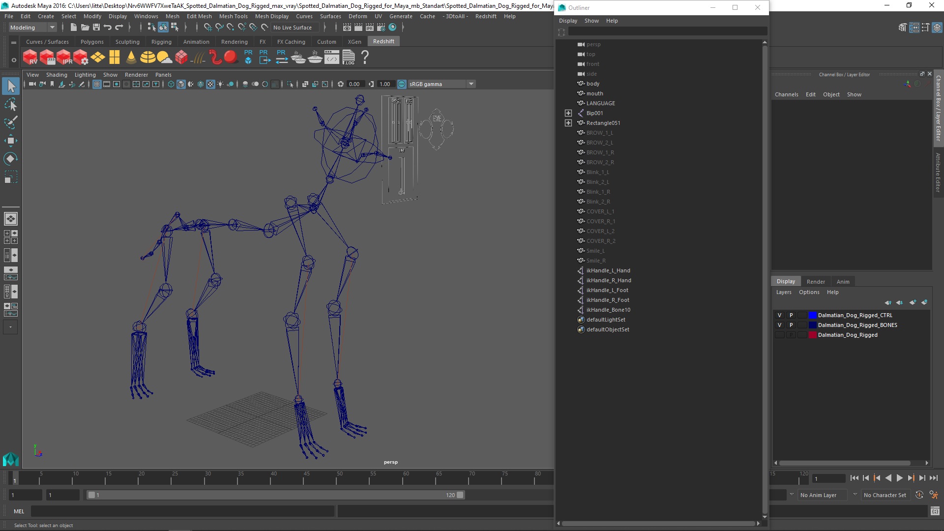 Spotted Dalmatian Dog Rigged for Maya 3D