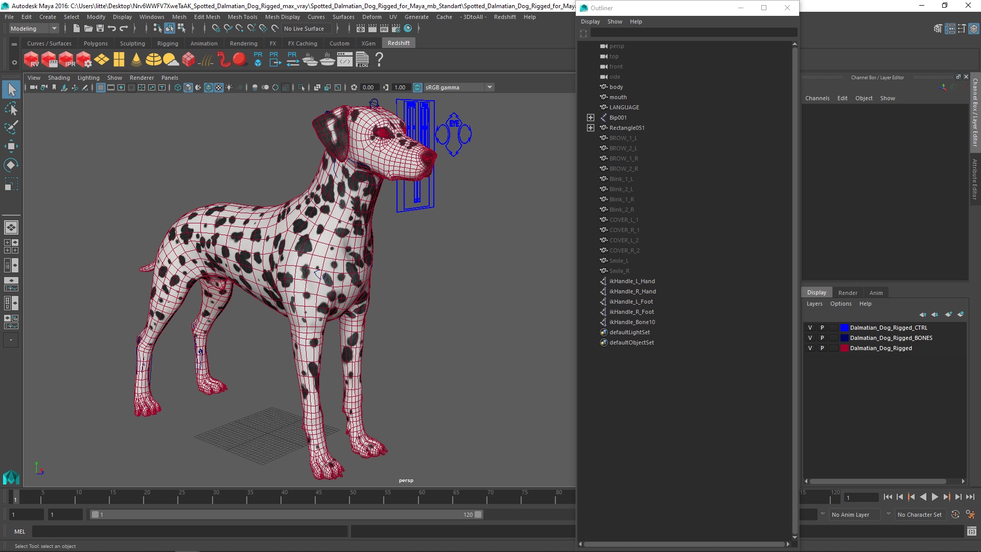 Spotted Dalmatian Dog Rigged for Maya 3D