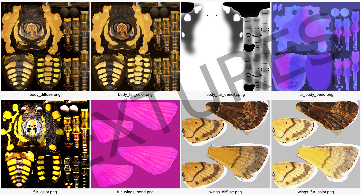Greater Deaths Head Hawkmoth flying Pose with Fur 3D model