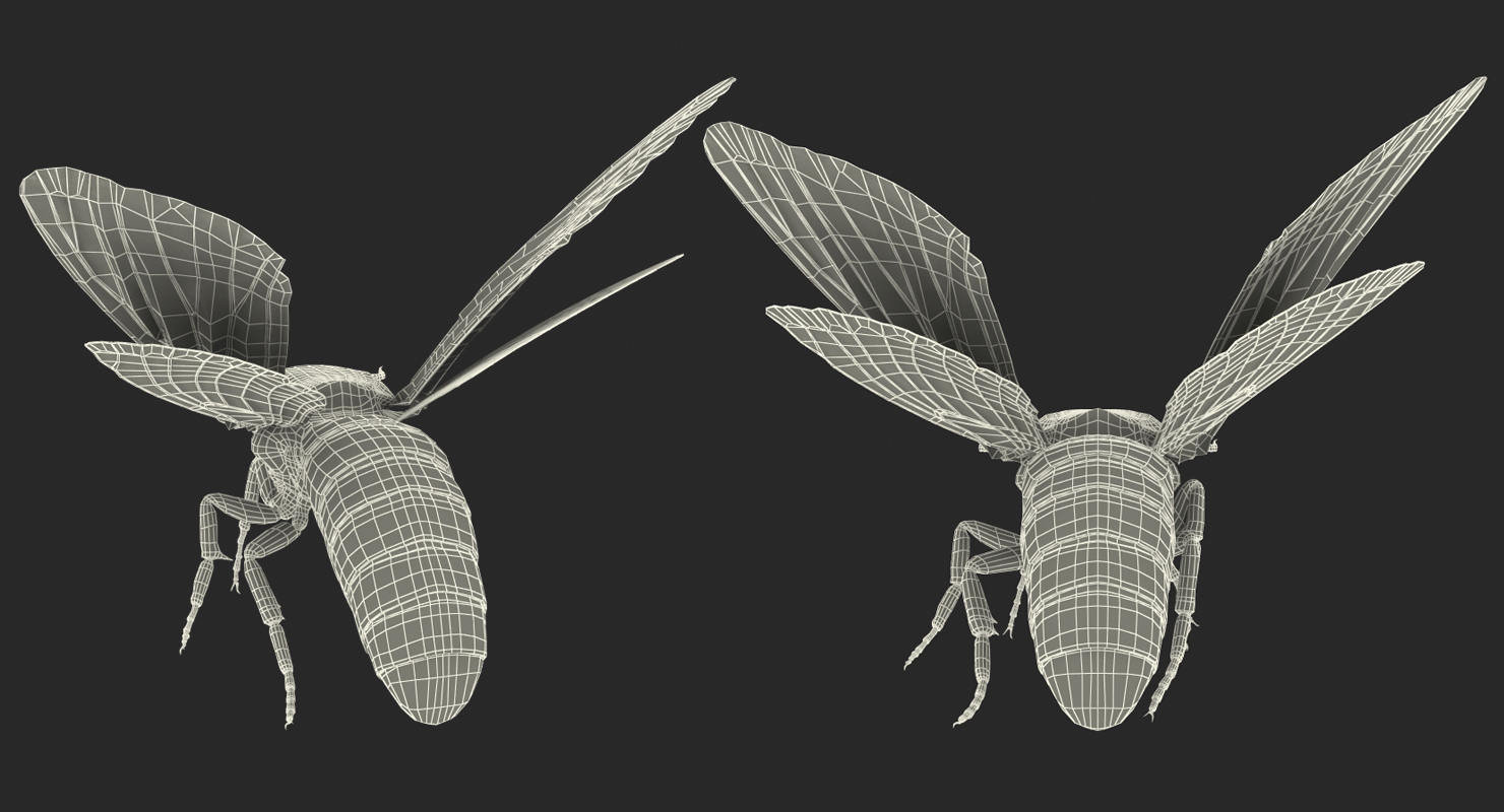 Greater Deaths Head Hawkmoth flying Pose with Fur 3D model