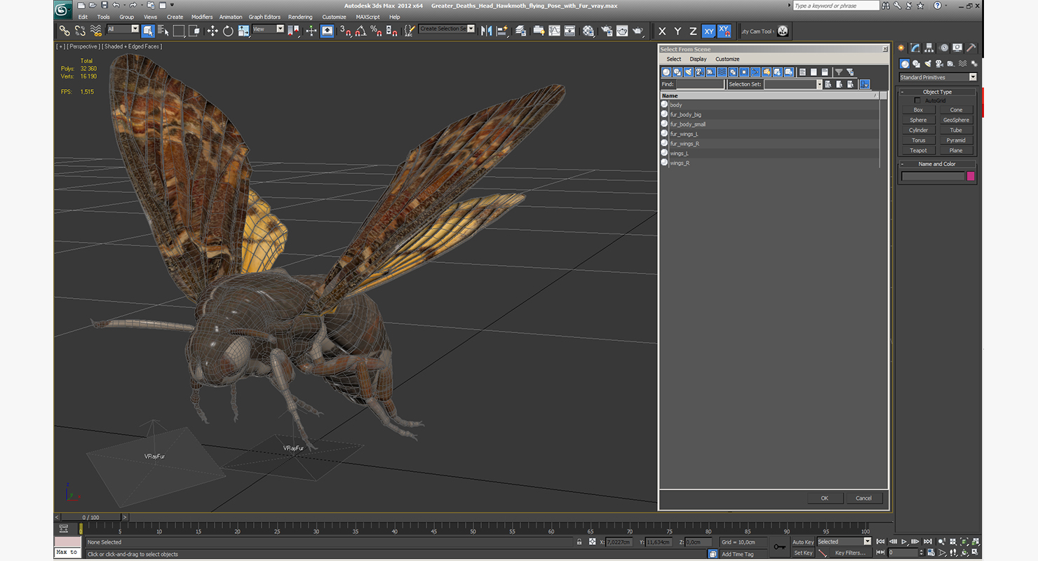 Greater Deaths Head Hawkmoth flying Pose with Fur 3D model