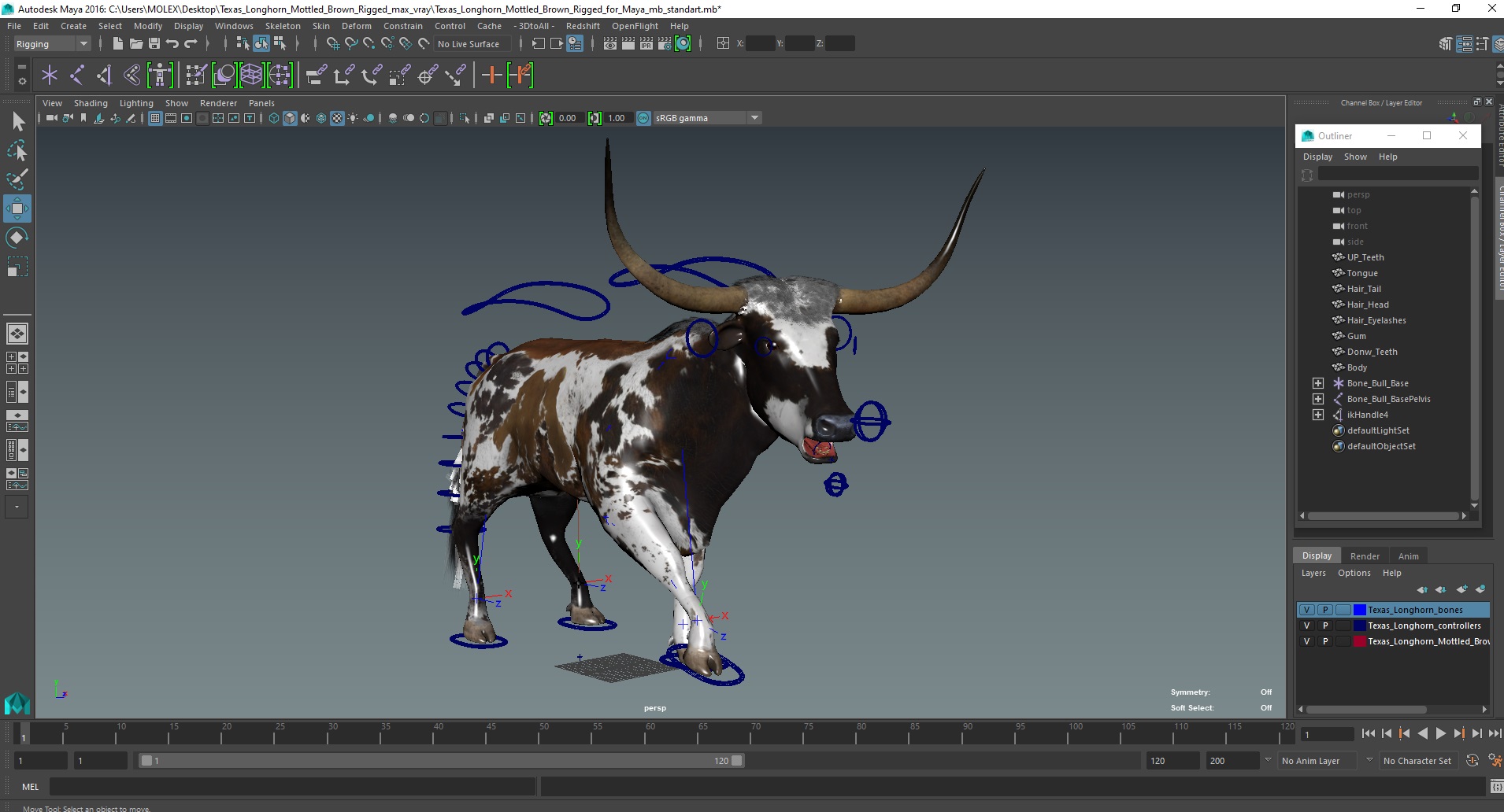 Texas Longhorn Mottled Brown Rigged for Maya 3D model