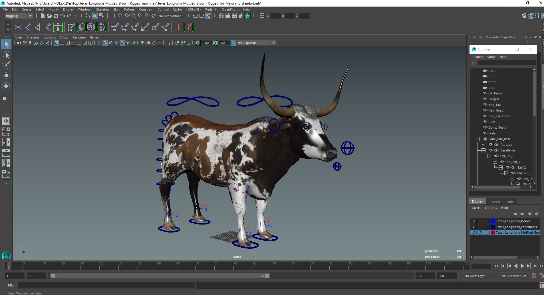 Texas Longhorn Mottled Brown Rigged for Maya 3D model