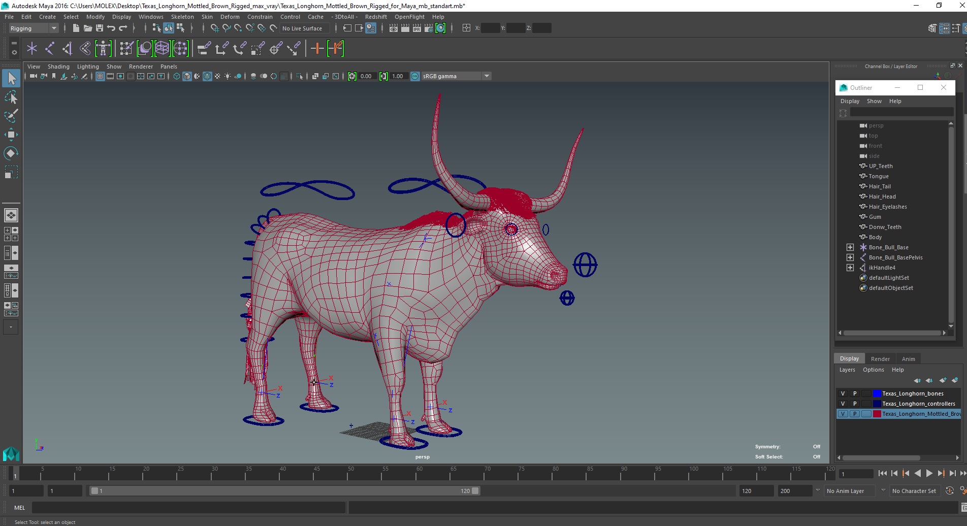 Texas Longhorn Mottled Brown Rigged for Maya 3D model