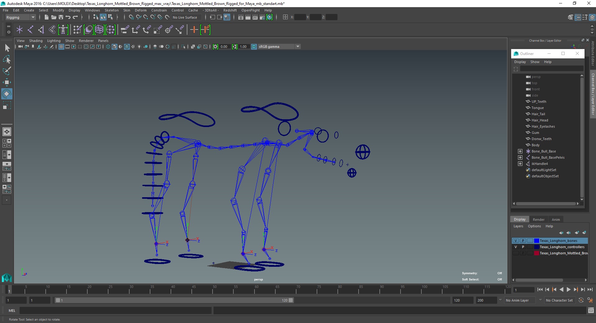 Texas Longhorn Mottled Brown Rigged for Maya 3D model