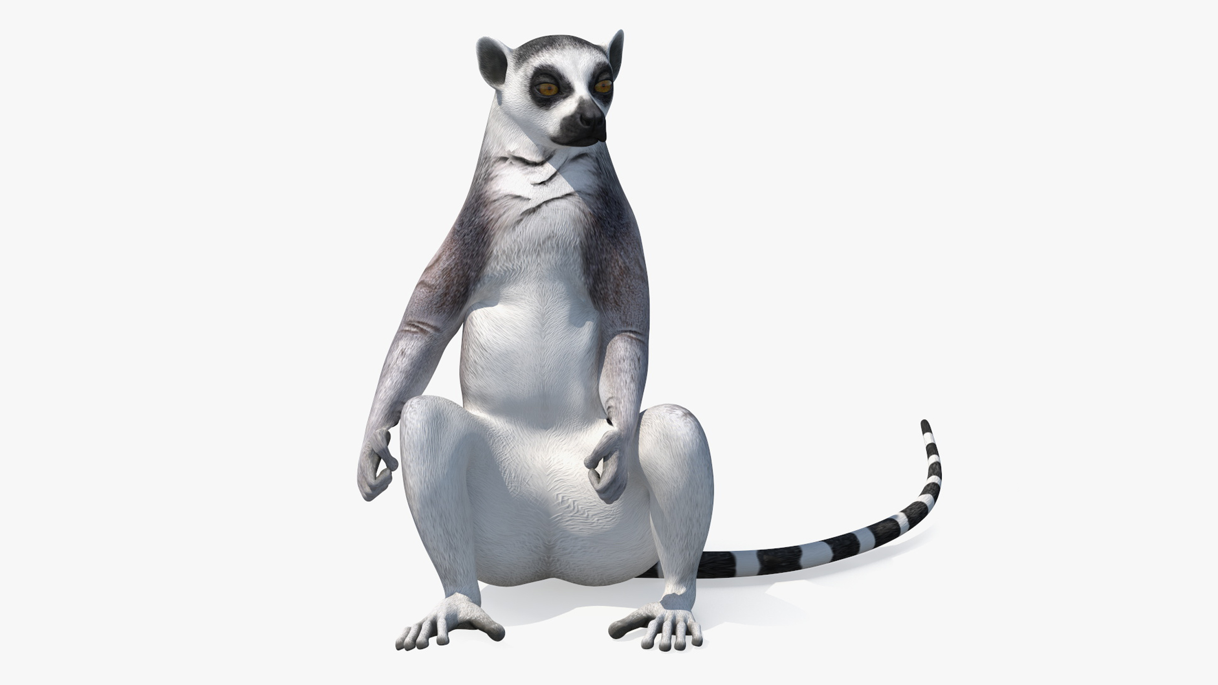 3D Lemur Rigged for Maya